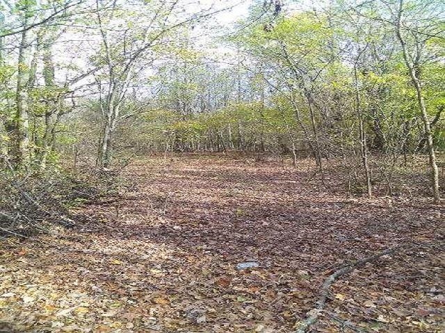 PAYTON RD Property Photo 1