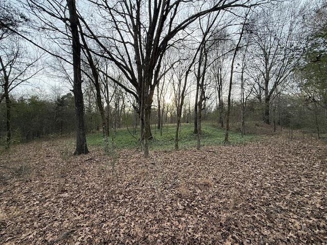261 Ac. Macon Rd Property Photo 4