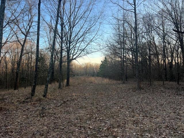 261 Ac. Macon Rd Property Photo 5