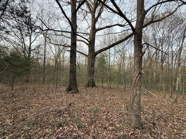 261 Ac. Macon Rd Property Photo 6