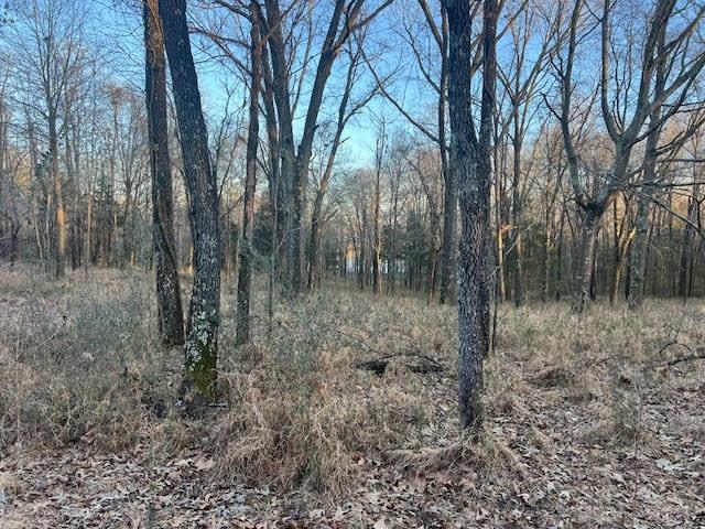 261 Ac. Macon Rd Property Photo 10