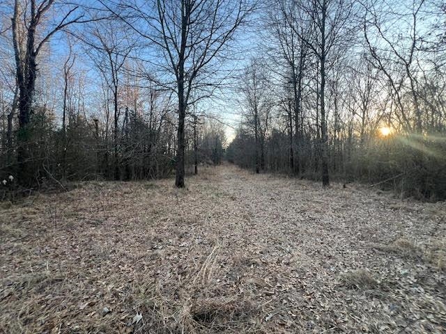 261 Ac. Macon Rd Property Photo 11