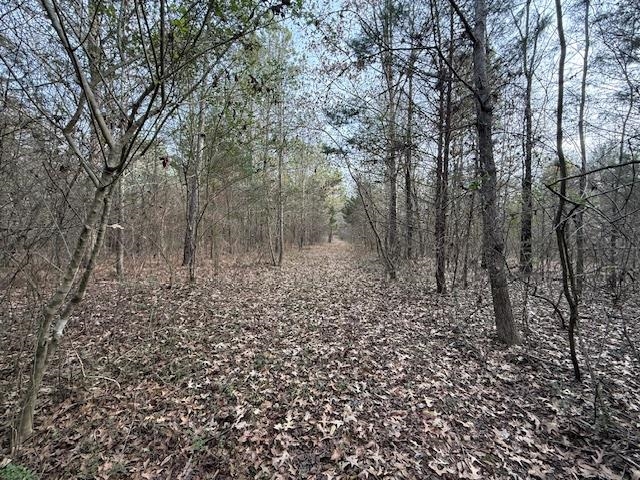 261 Ac. Macon Rd Property Photo 12