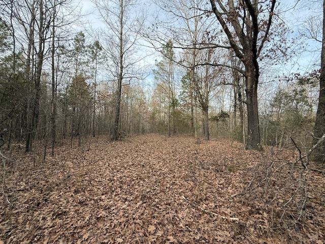 261 Ac. Macon Rd Property Photo 13