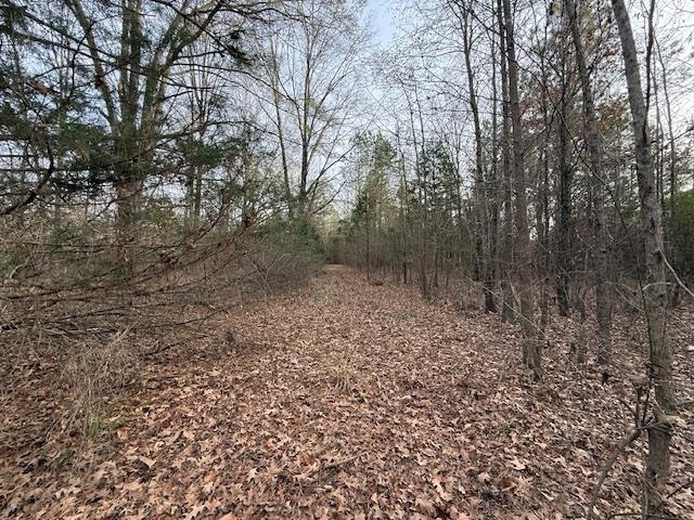 261 Ac. Macon Rd Property Photo 14