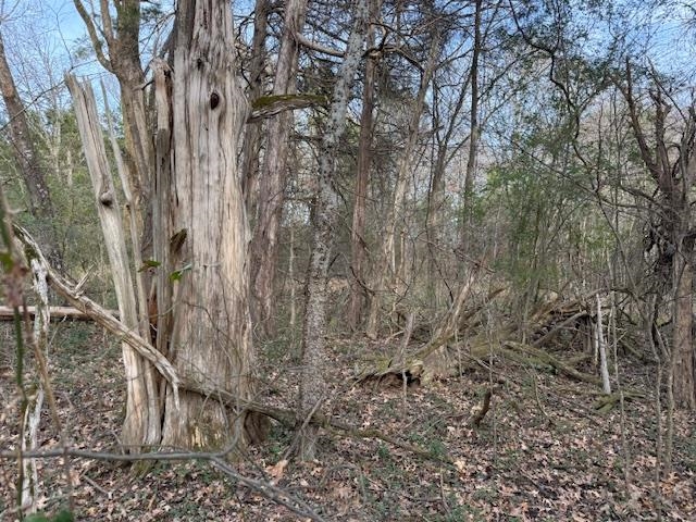 261 Ac. Macon Rd Property Photo 15