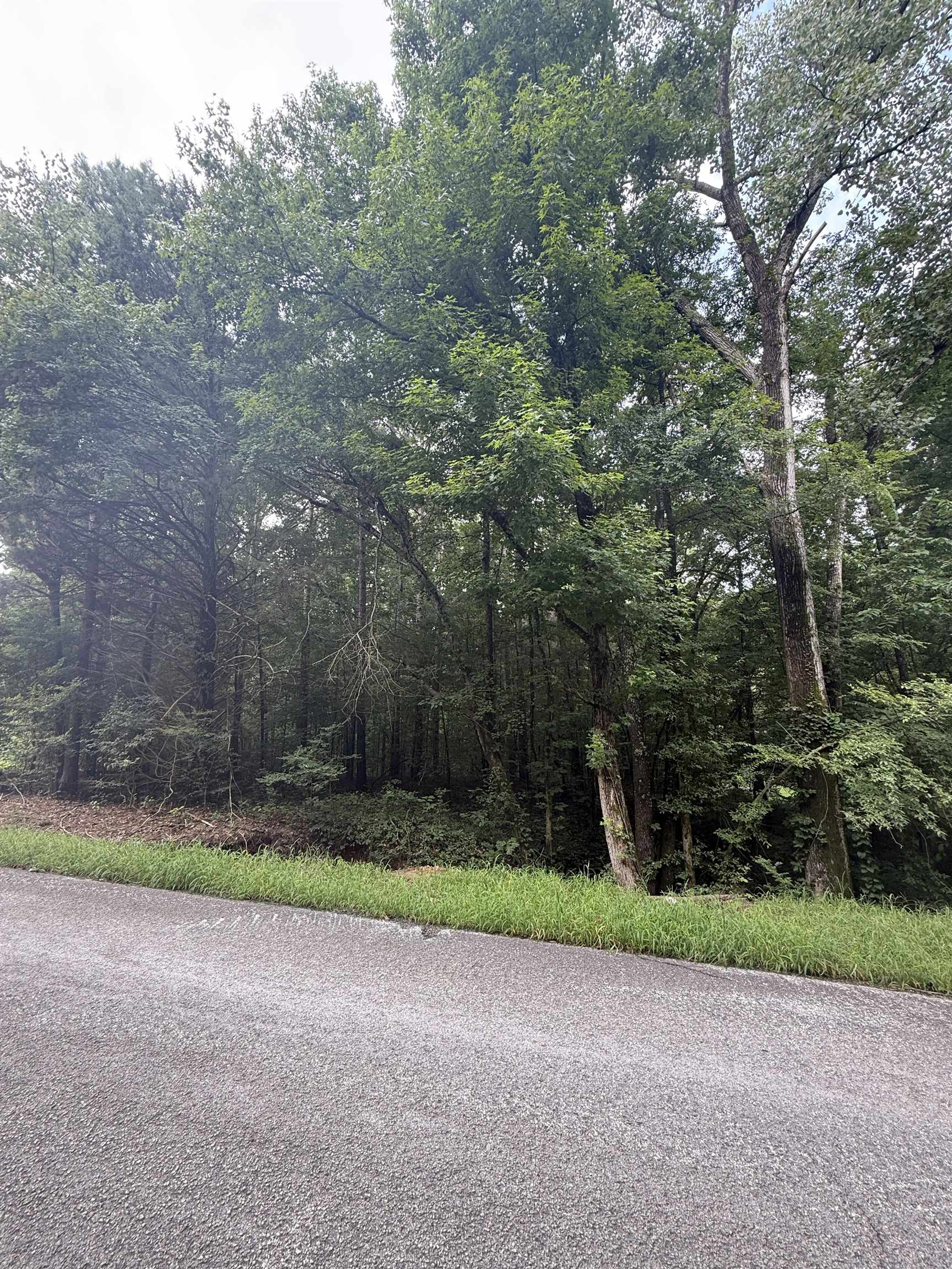 Heaven Hill Dr Property Photo 2