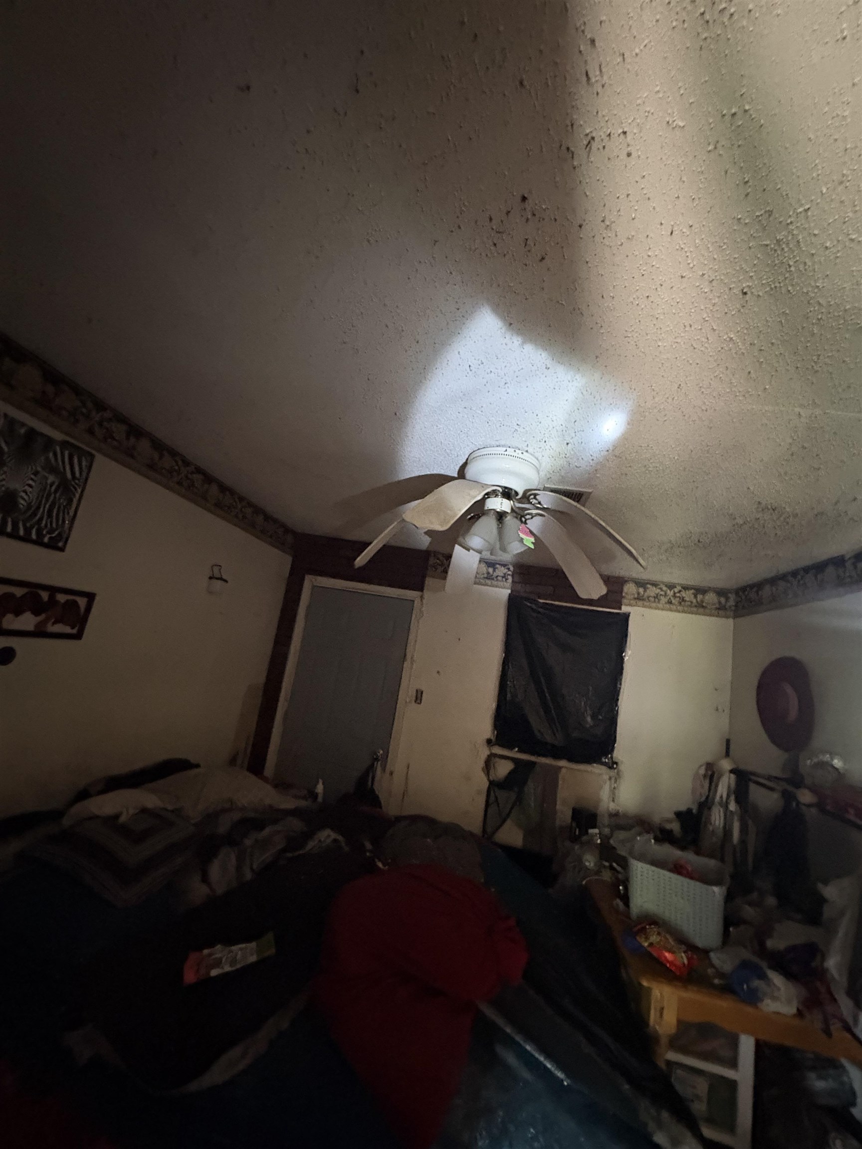 2483 Winnona Ave Property Photo 3