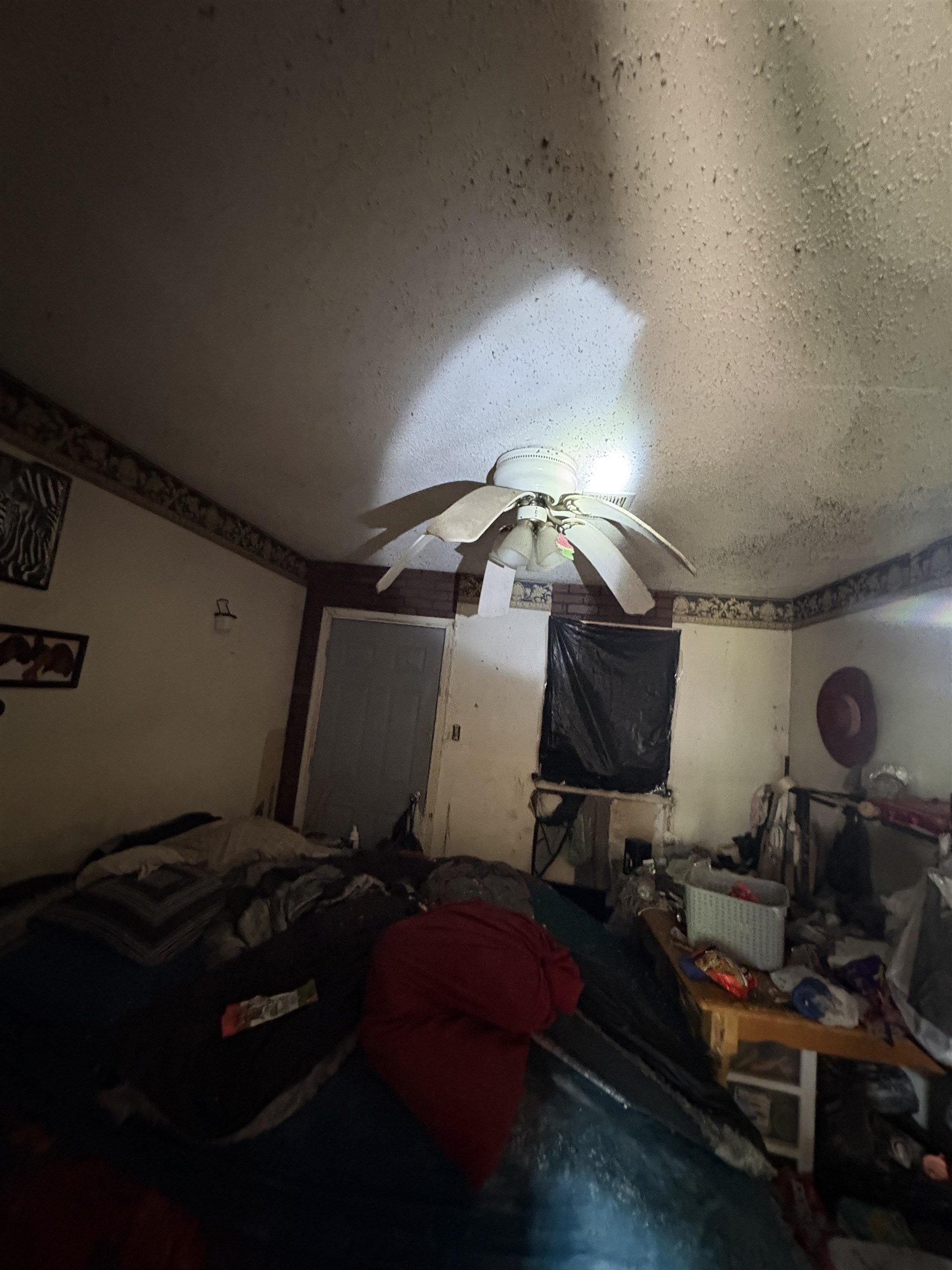 2483 Winnona Ave Property Photo 4