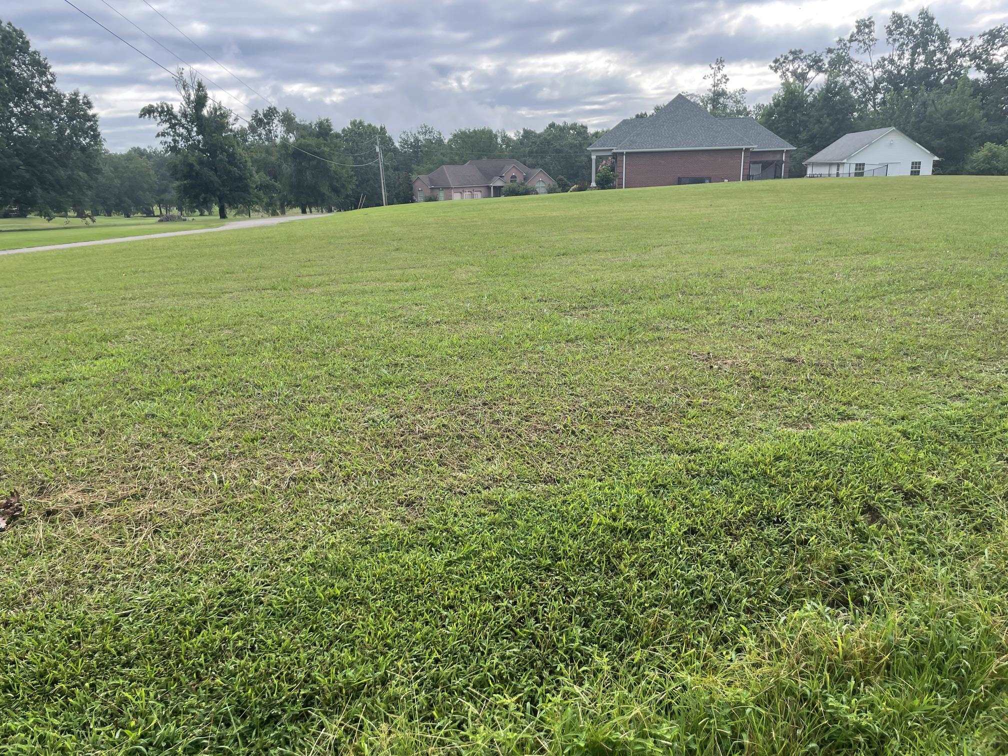 Caney Branch Rd Property Photo 3