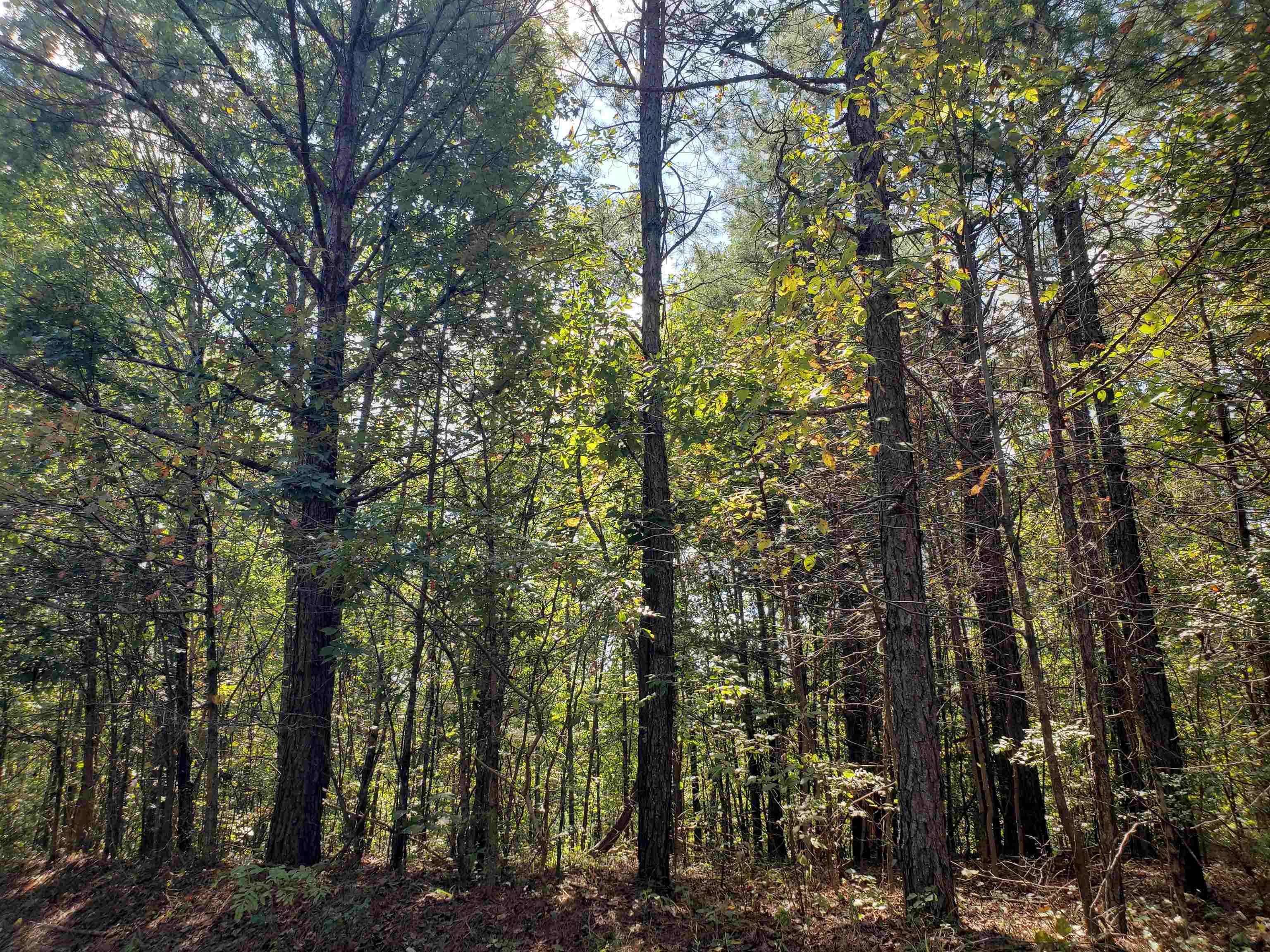 0 Cr 414 Rd Property Photo 1