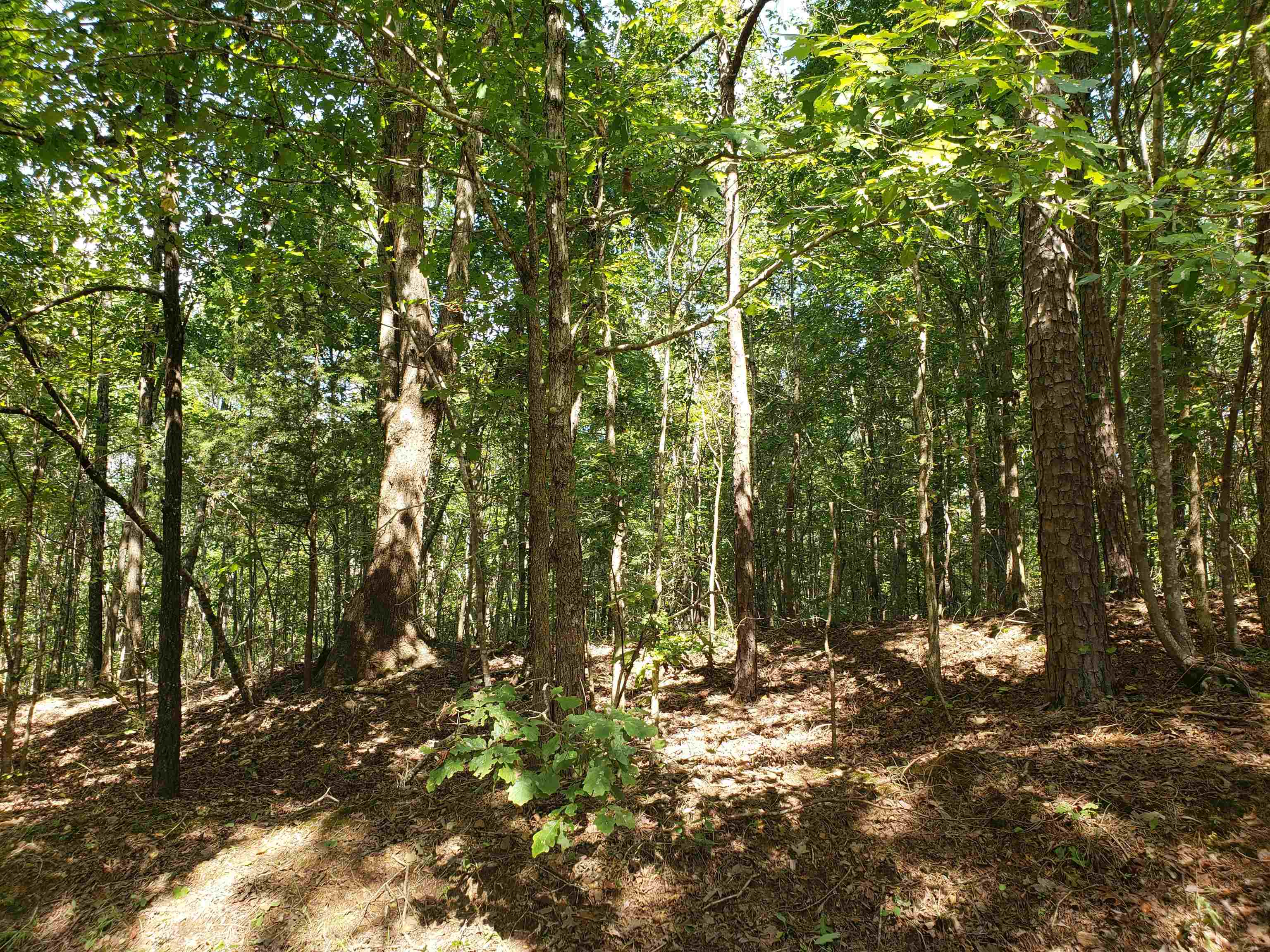 0 Cr 414 Rd Property Photo 2