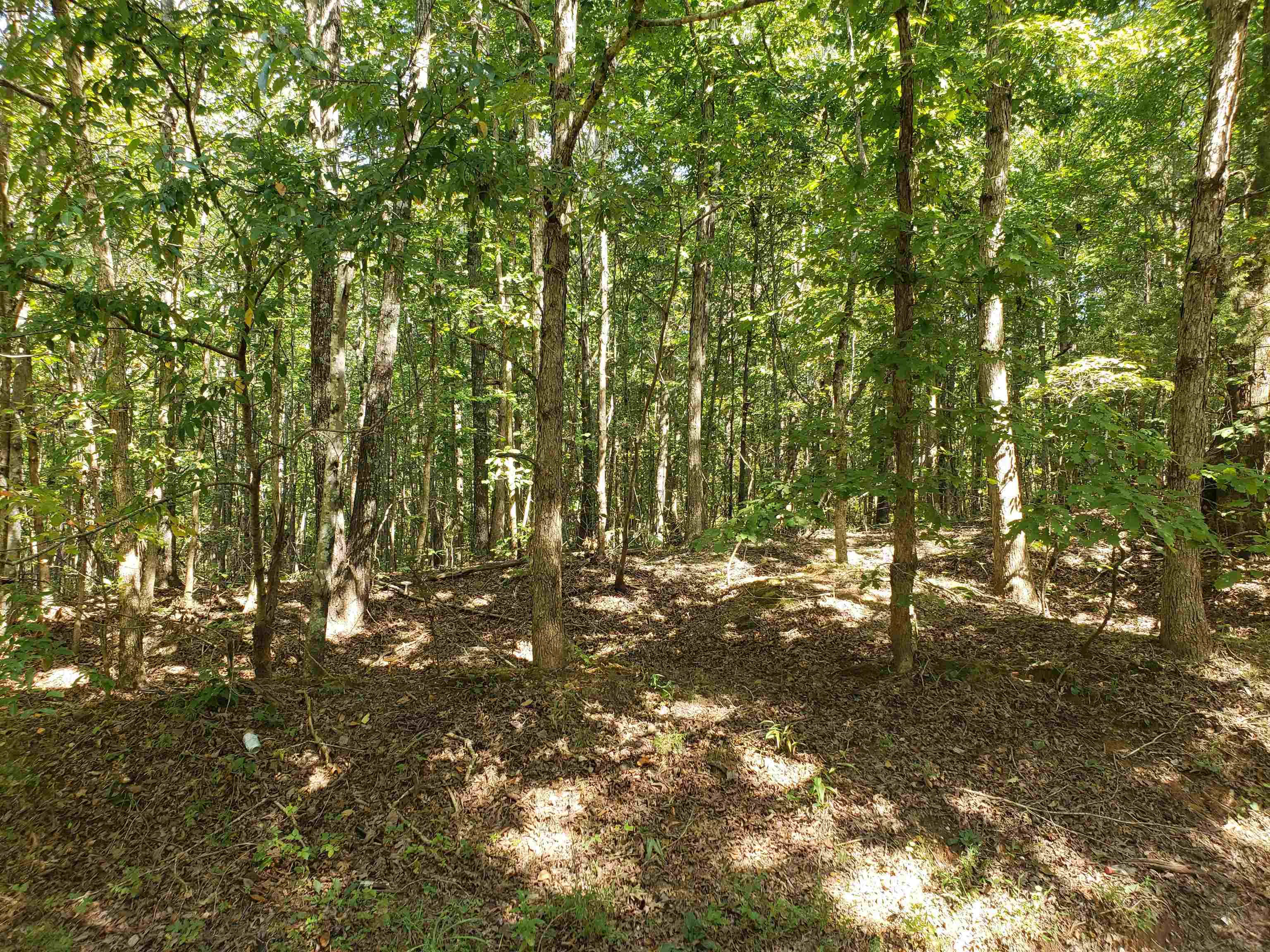 0 Cr 414 Rd Property Photo 8