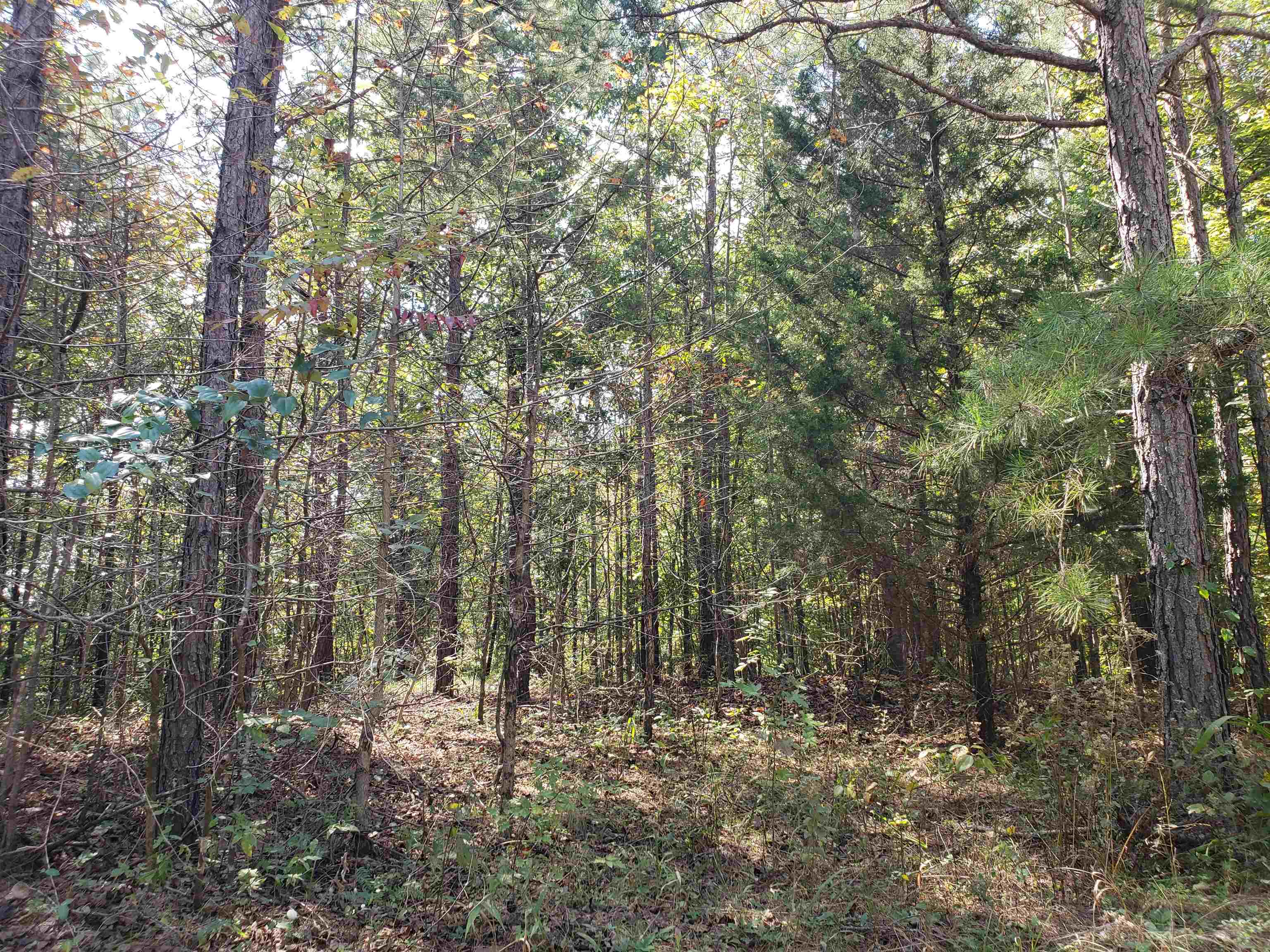 0 Cr 414 Rd Property Photo 10