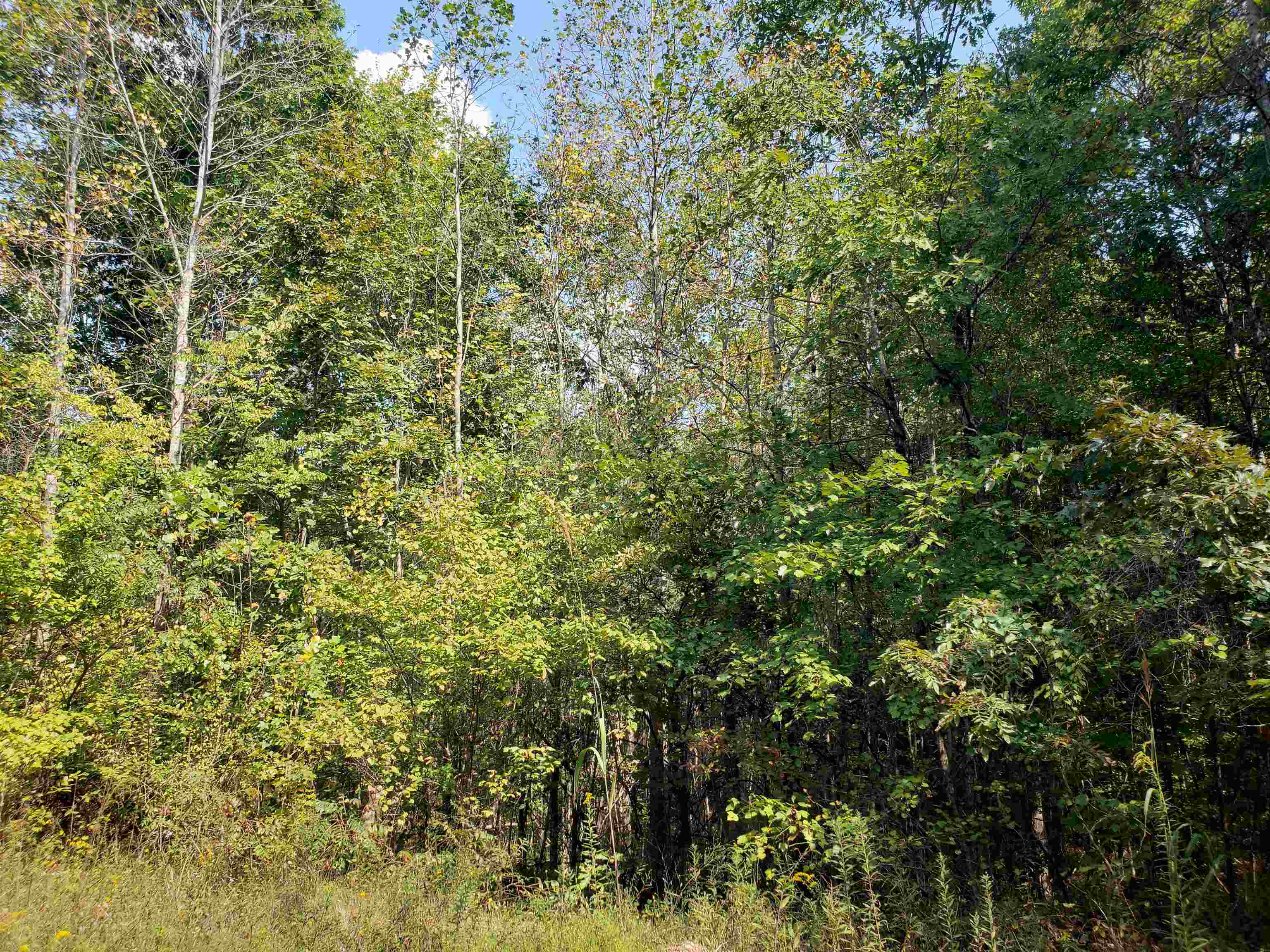 0 Cr 414 Rd Property Photo 11