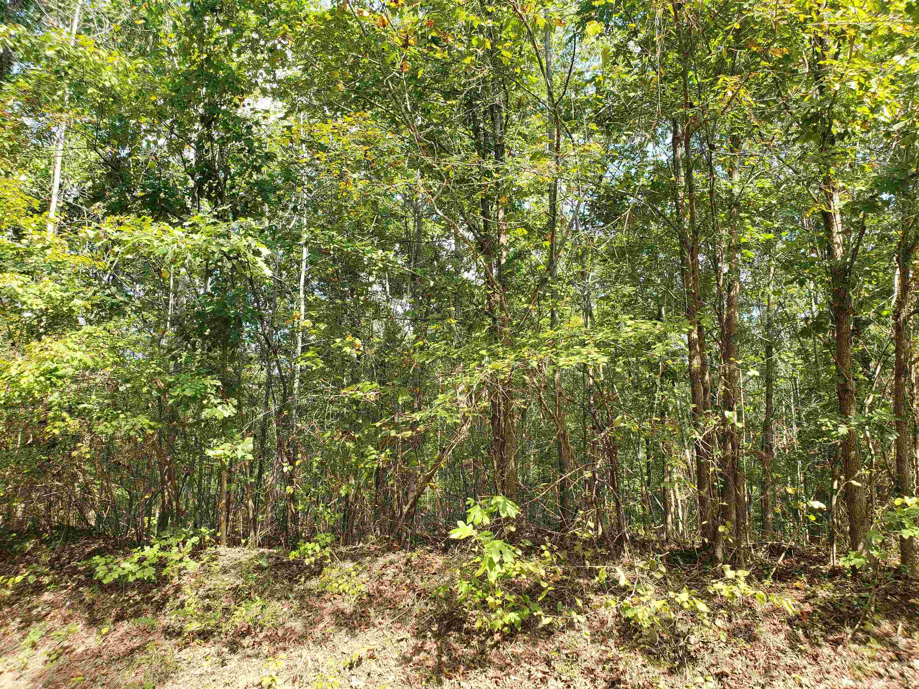0 Cr 414 Rd Property Photo 13