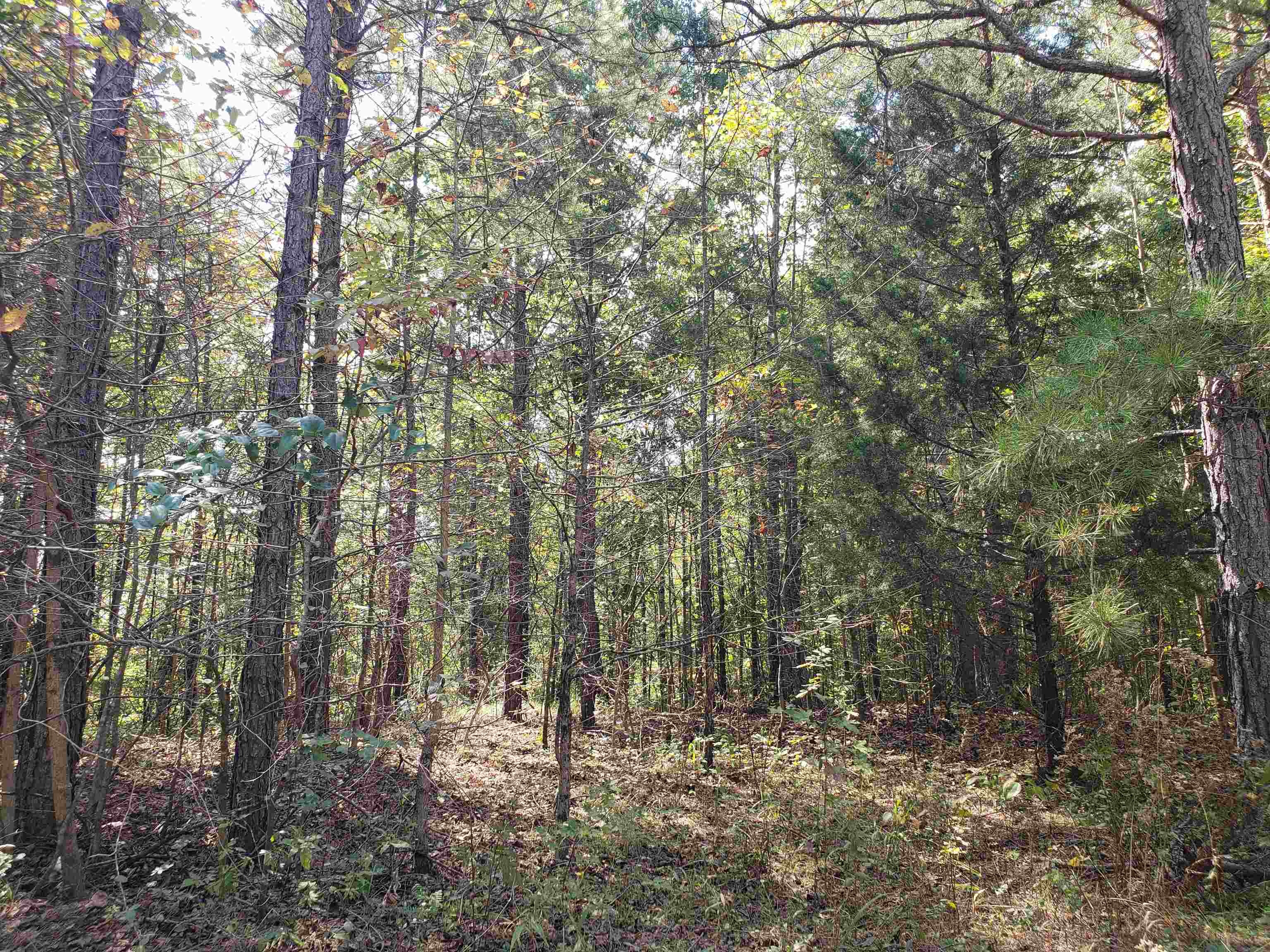 0 Cr 414 Rd Property Photo 16