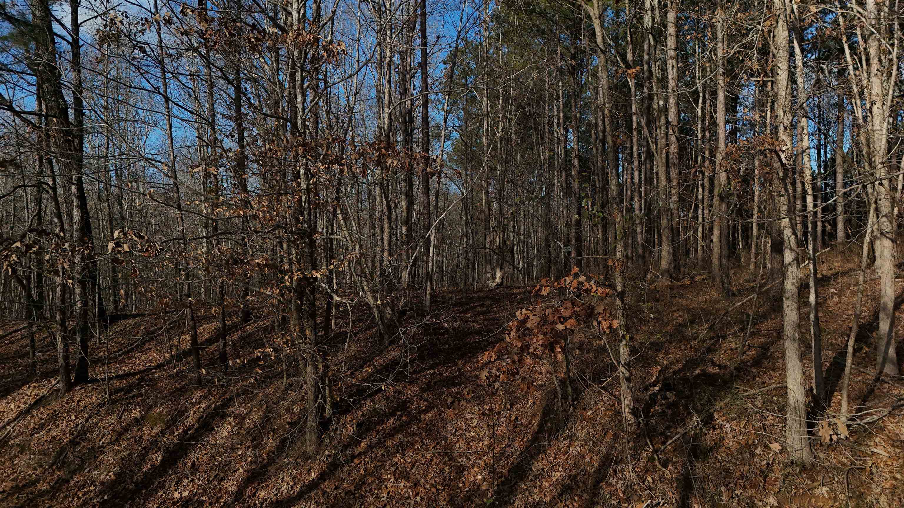 0 Cr 414 Rd Property Photo 26