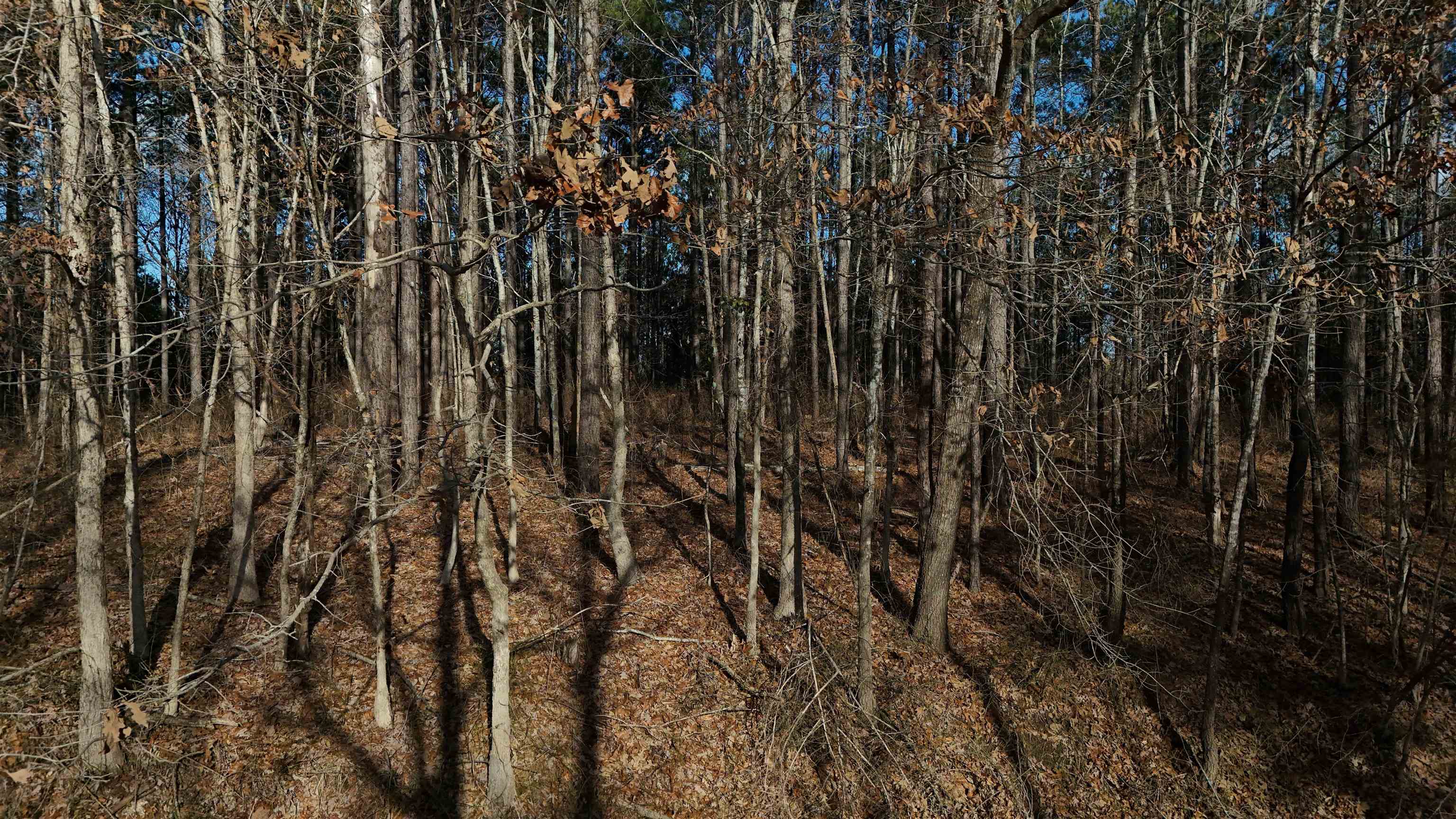 0 Cr 414 Rd Property Photo 27