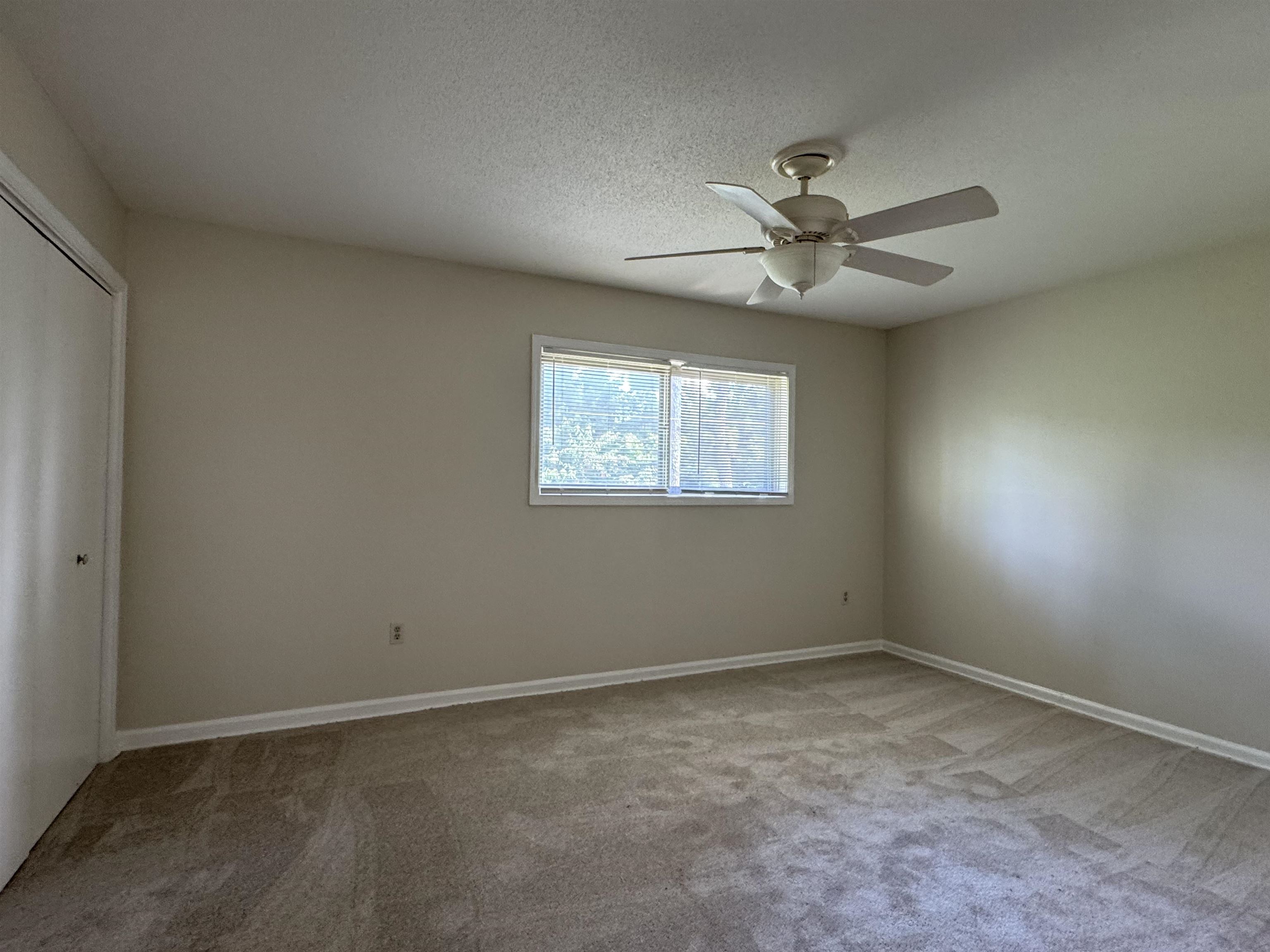 5659 Hinton Pl Property Photo 12