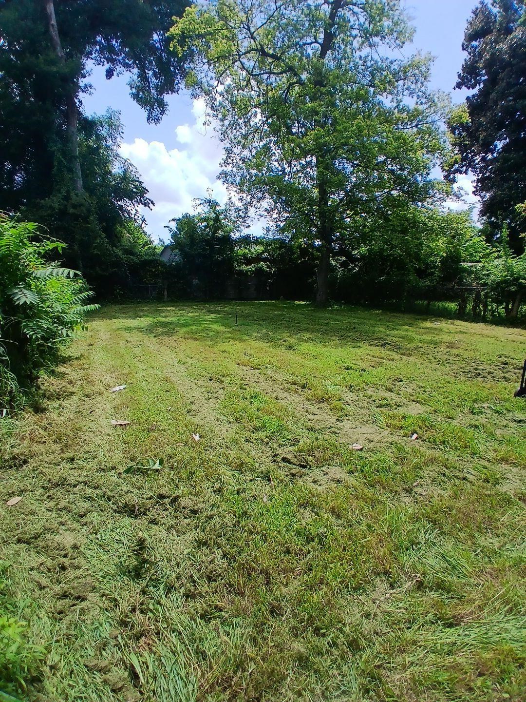 1436 Maplewood St Property Photo 3