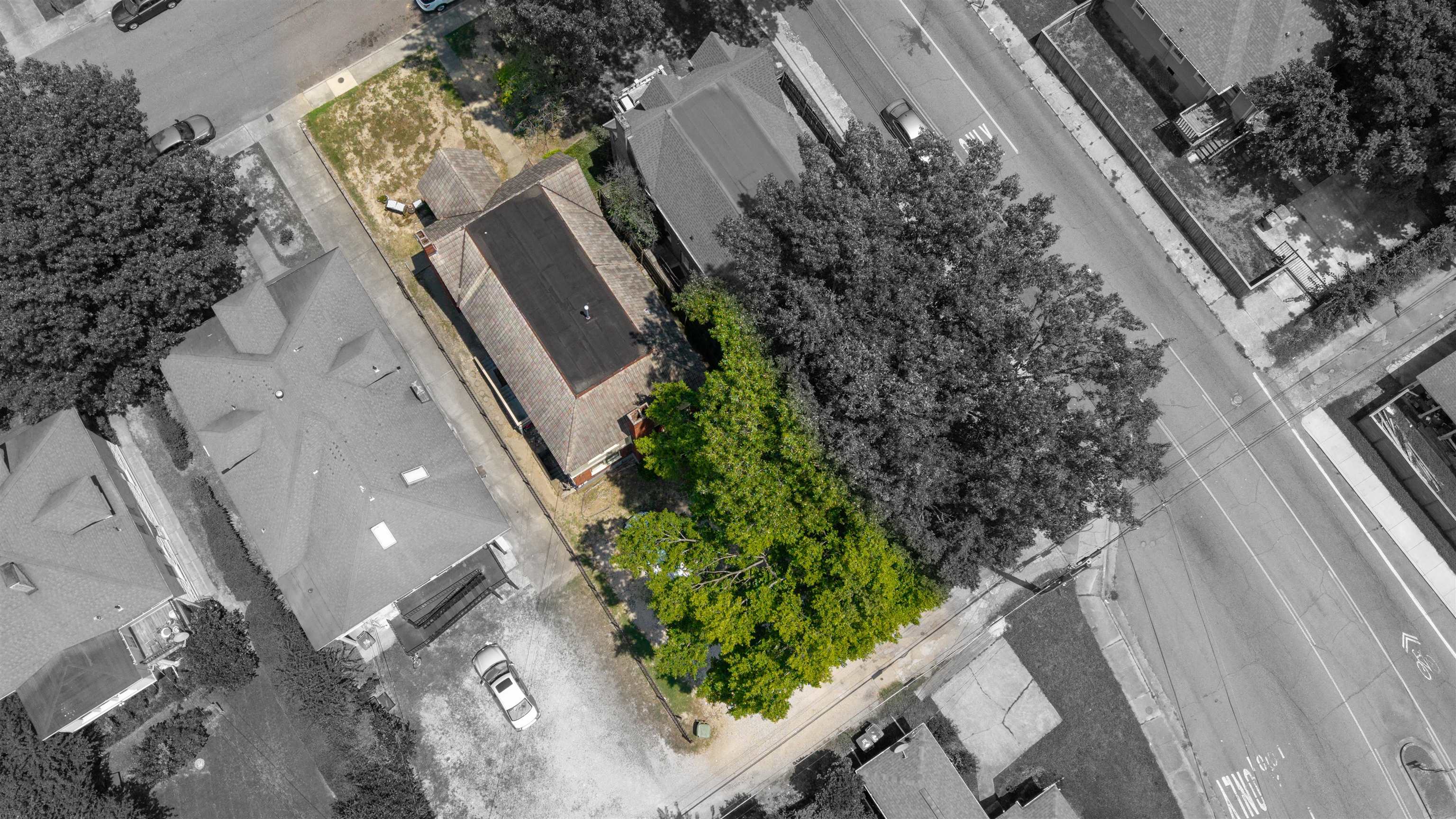 1333 Harbert Ave Property Photo 24