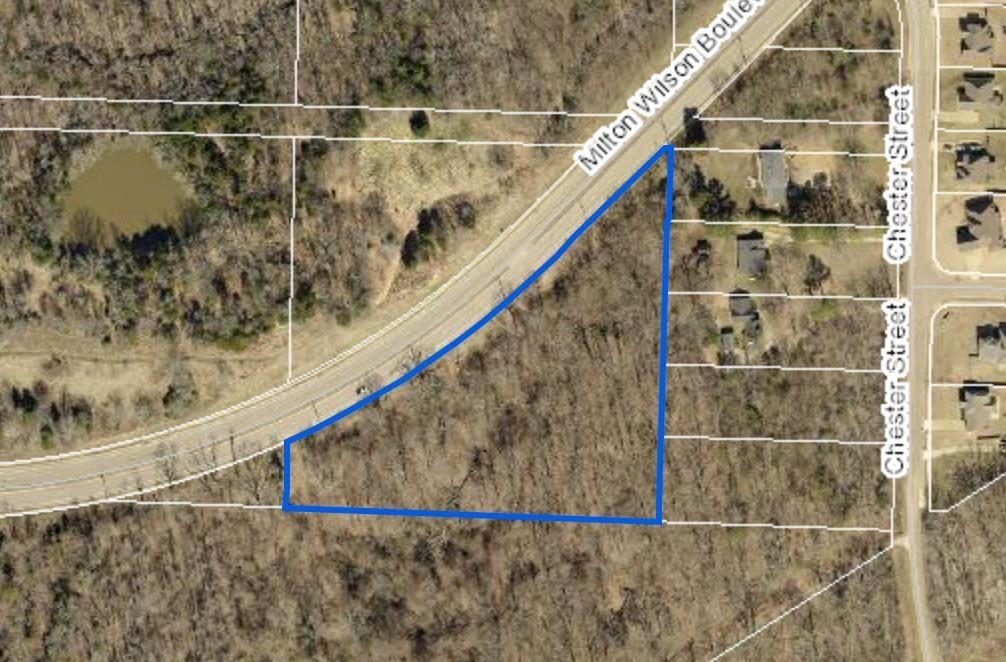 0 Milton Wilson Rd Property Photo 2