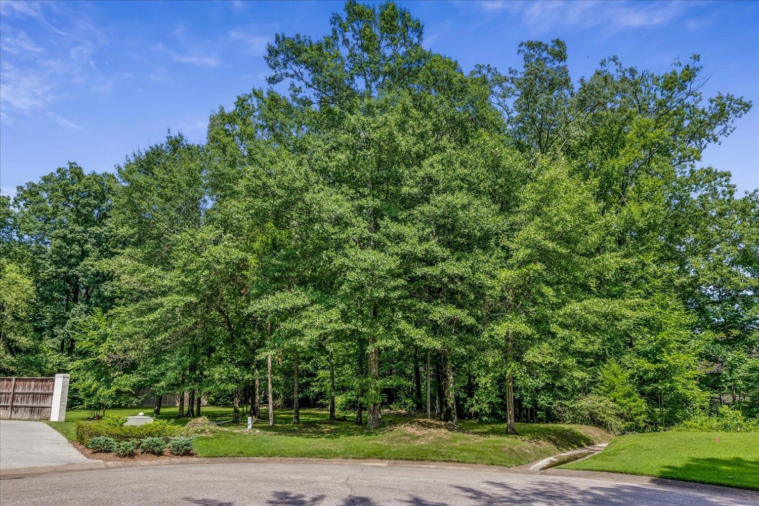 1082 River Green Cv N Property Photo 14