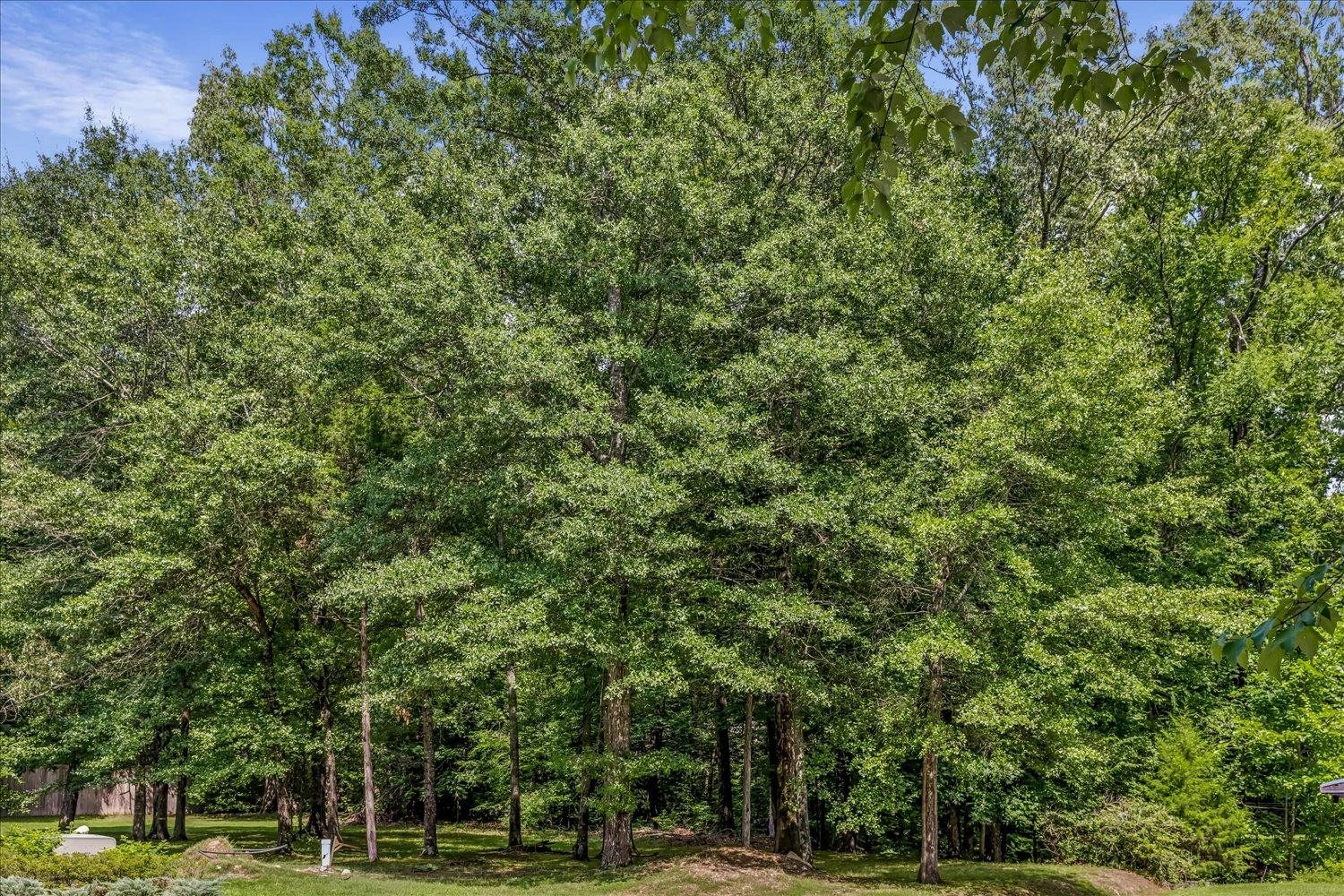 1082 River Green Cv N Property Photo 15