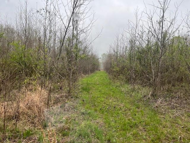80 Macon Ridge Cv Property Photo 2