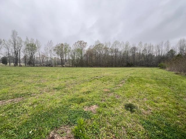 80 Macon Ridge Cv Property Photo 6