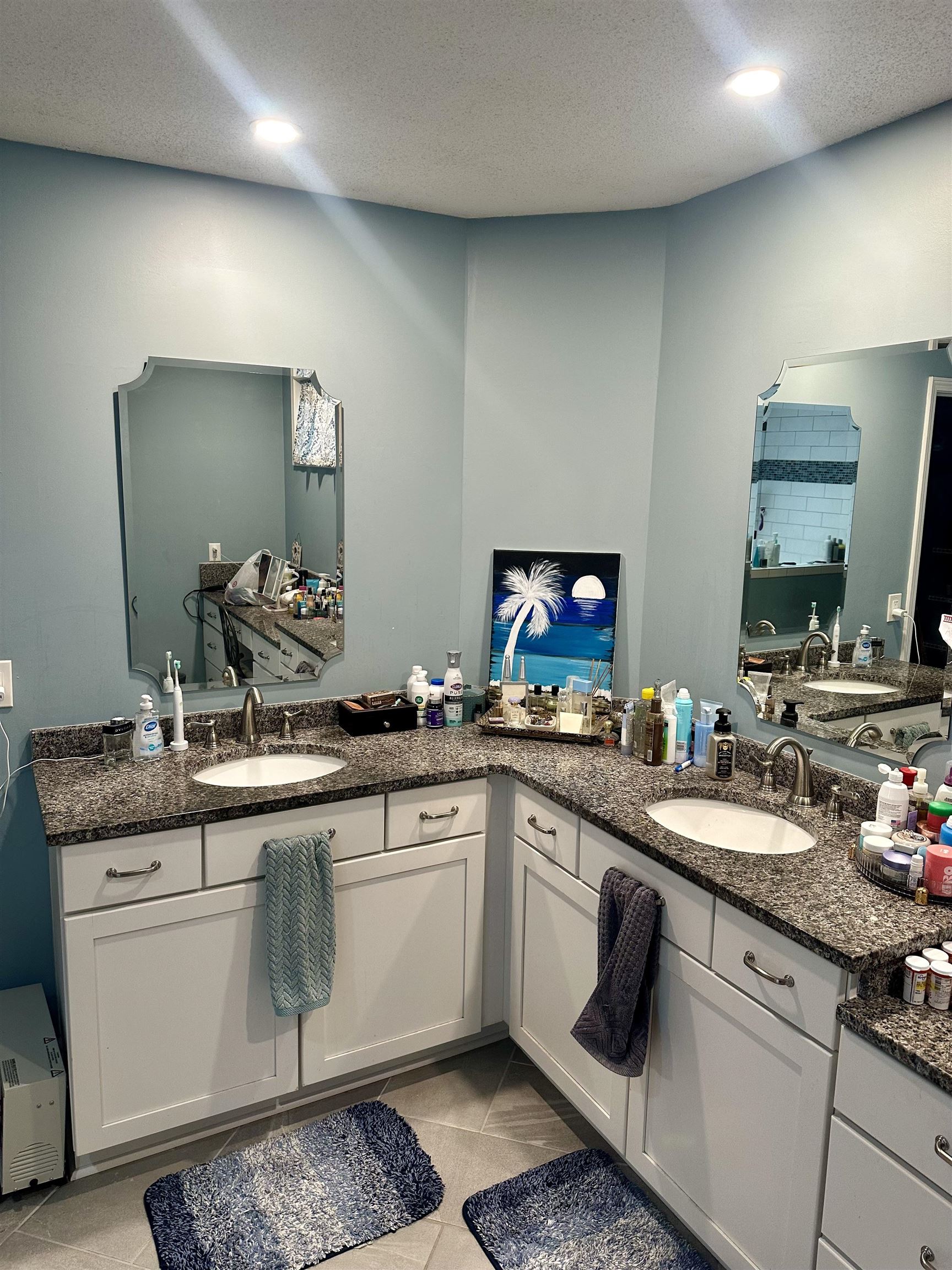 2217 Oak Hollow Ln Property Photo 17
