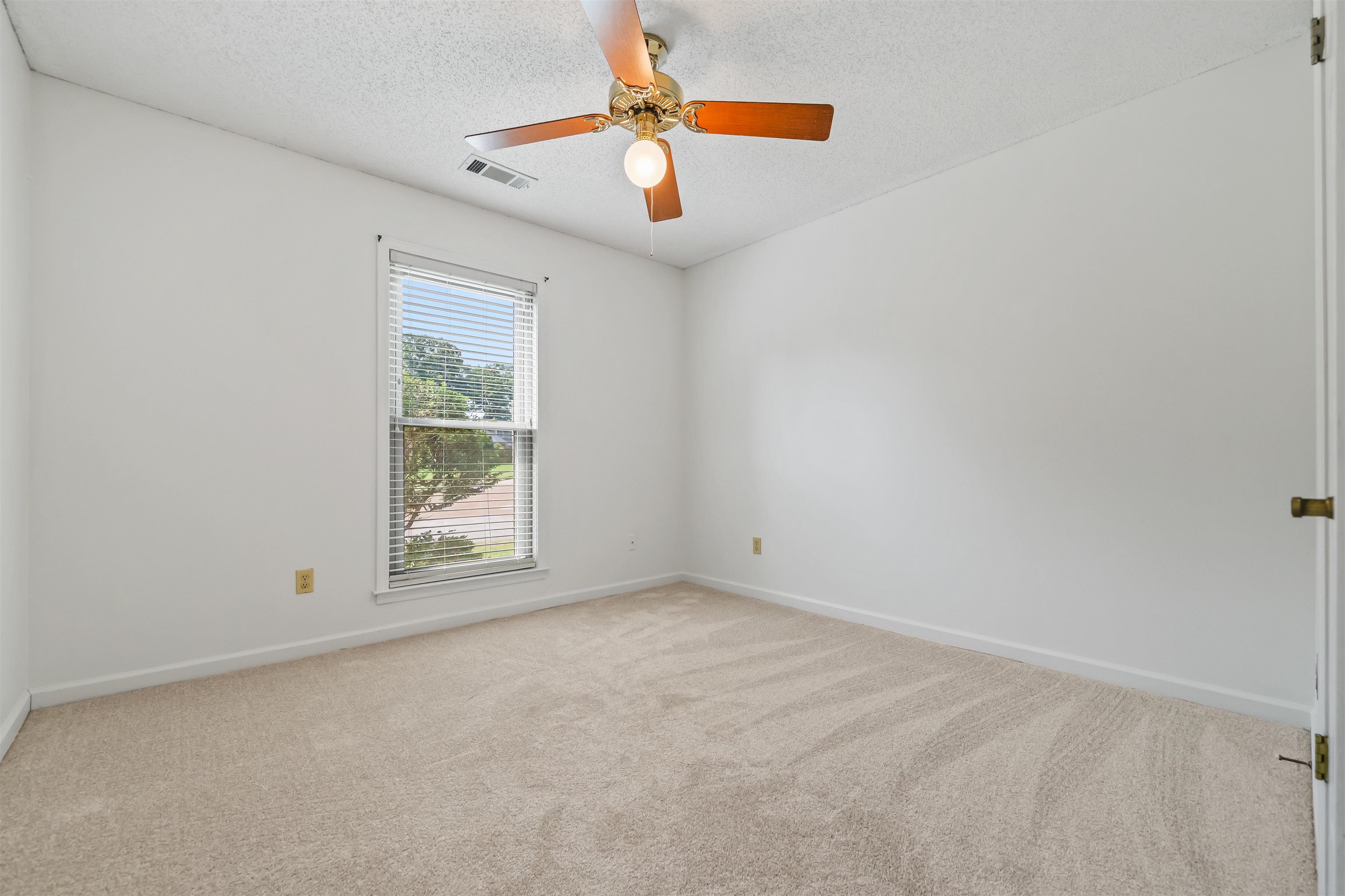 3624 Oak Branch Cv Property Photo 15