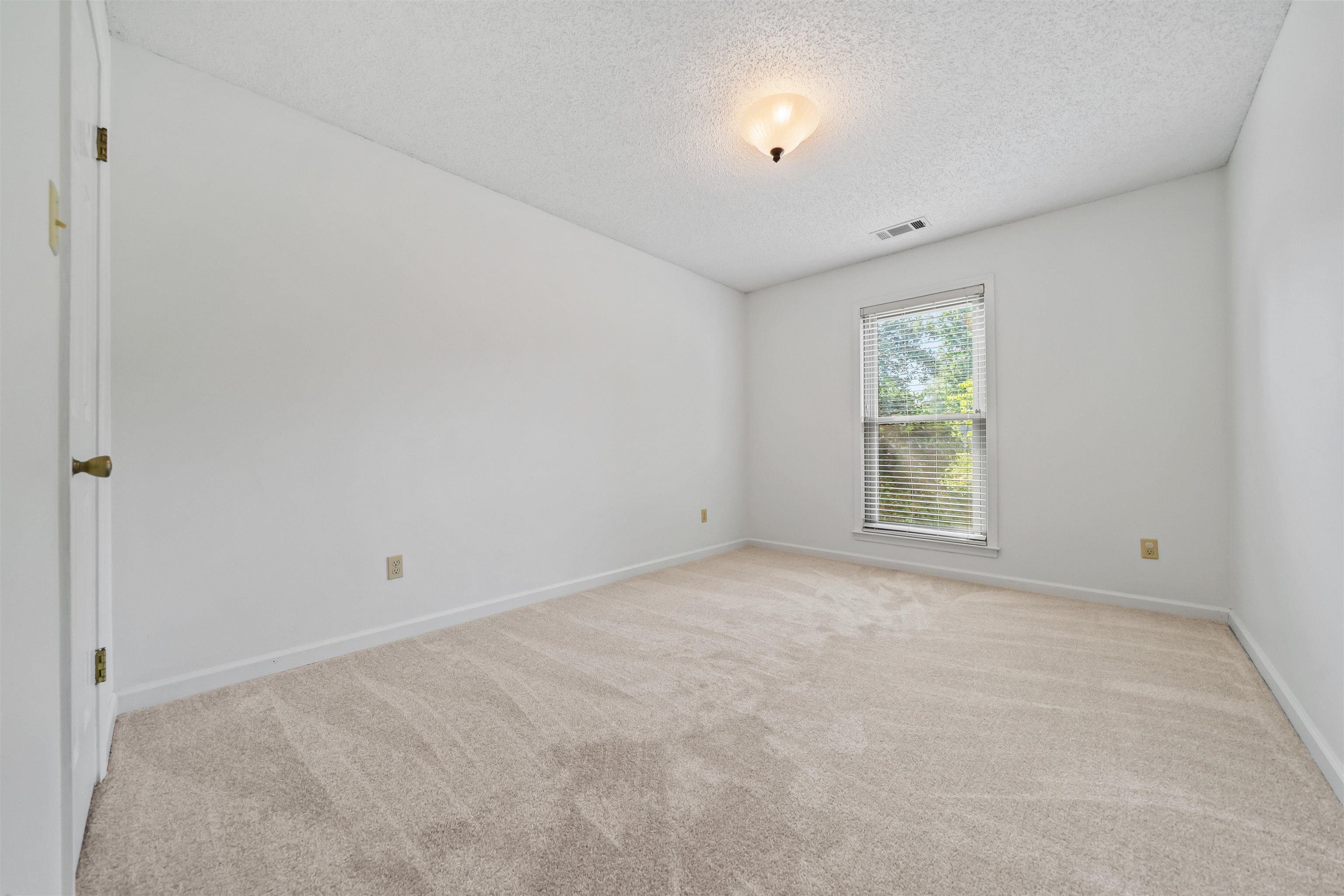 3624 Oak Branch Cv Property Photo 16