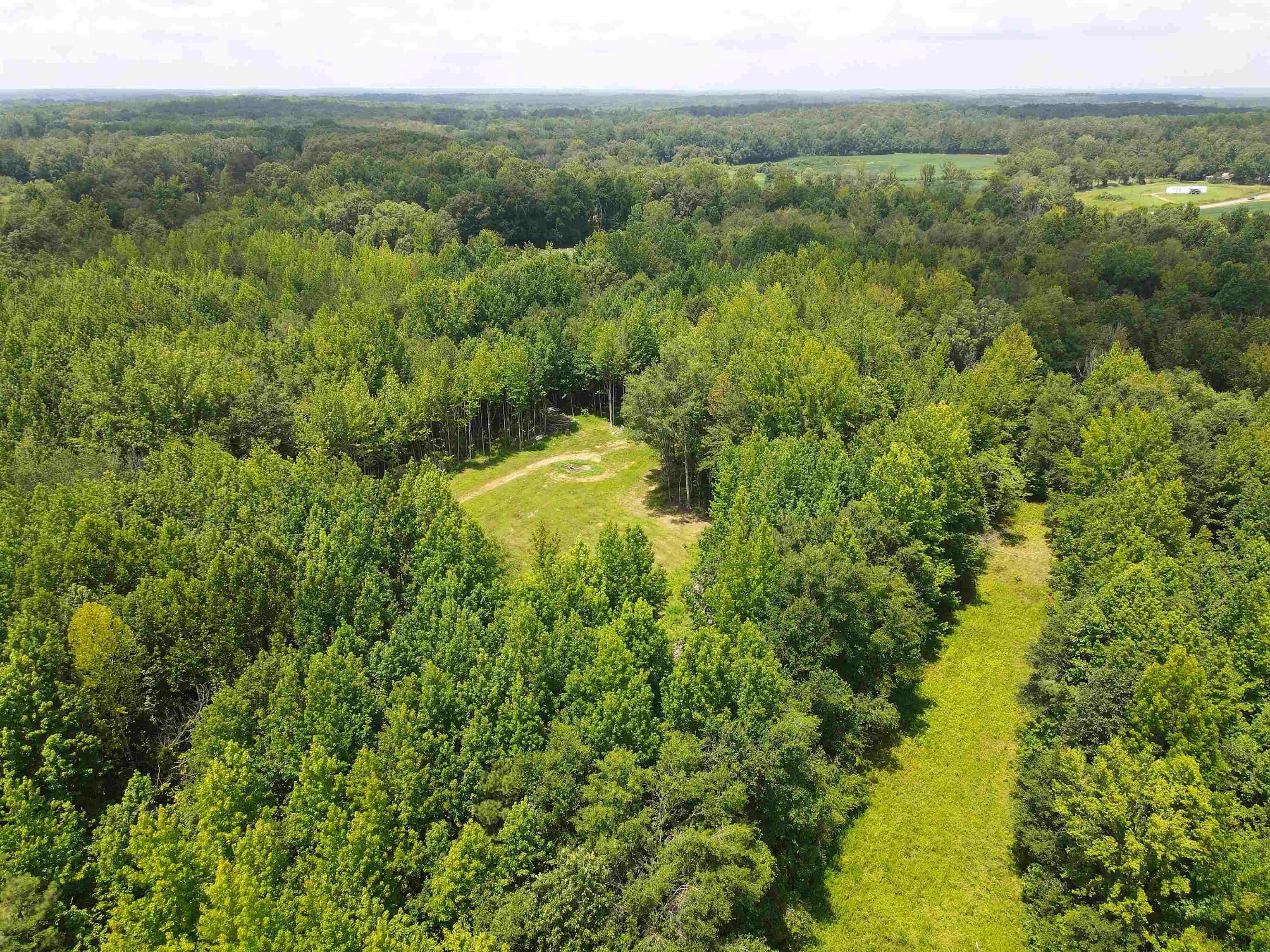 1234 Sandy Flatt Rd Property Photo 3