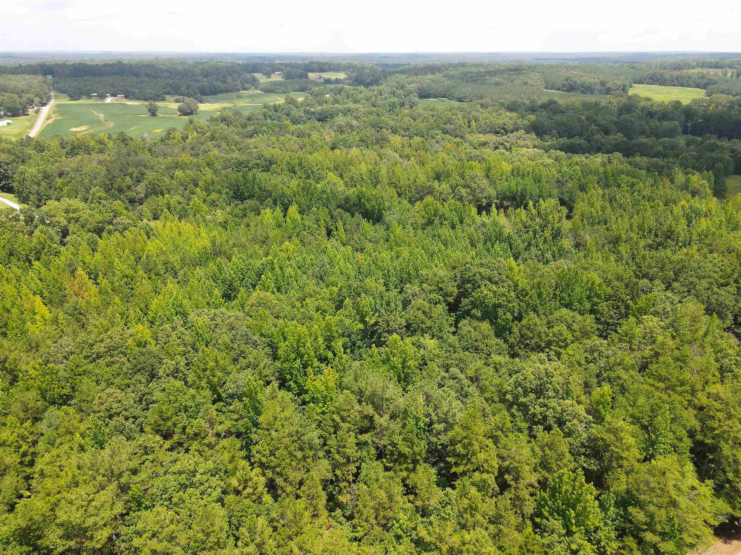 1234 Sandy Flatt Rd Property Photo 5