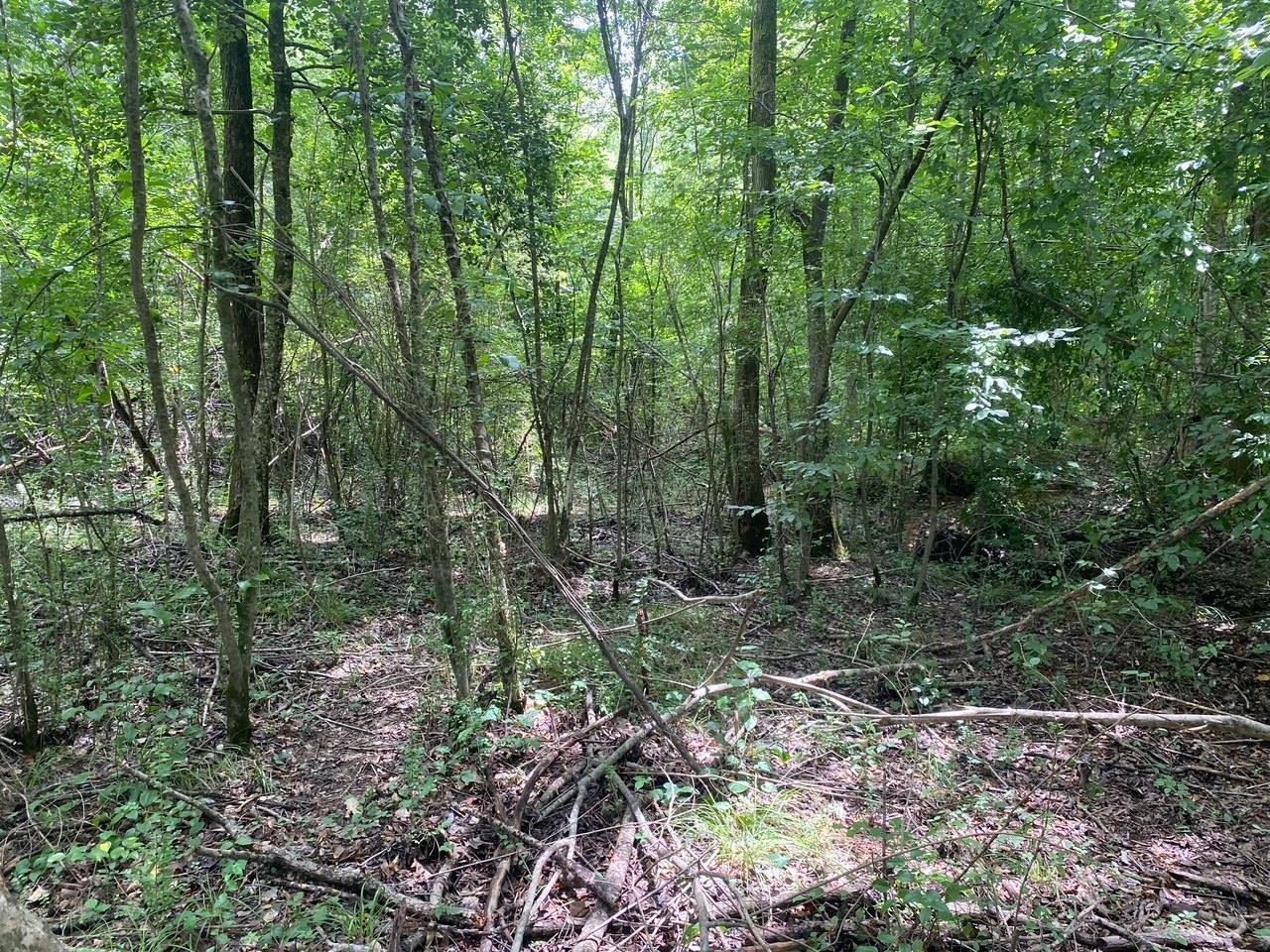 1234 Sandy Flatt Rd Property Photo 15