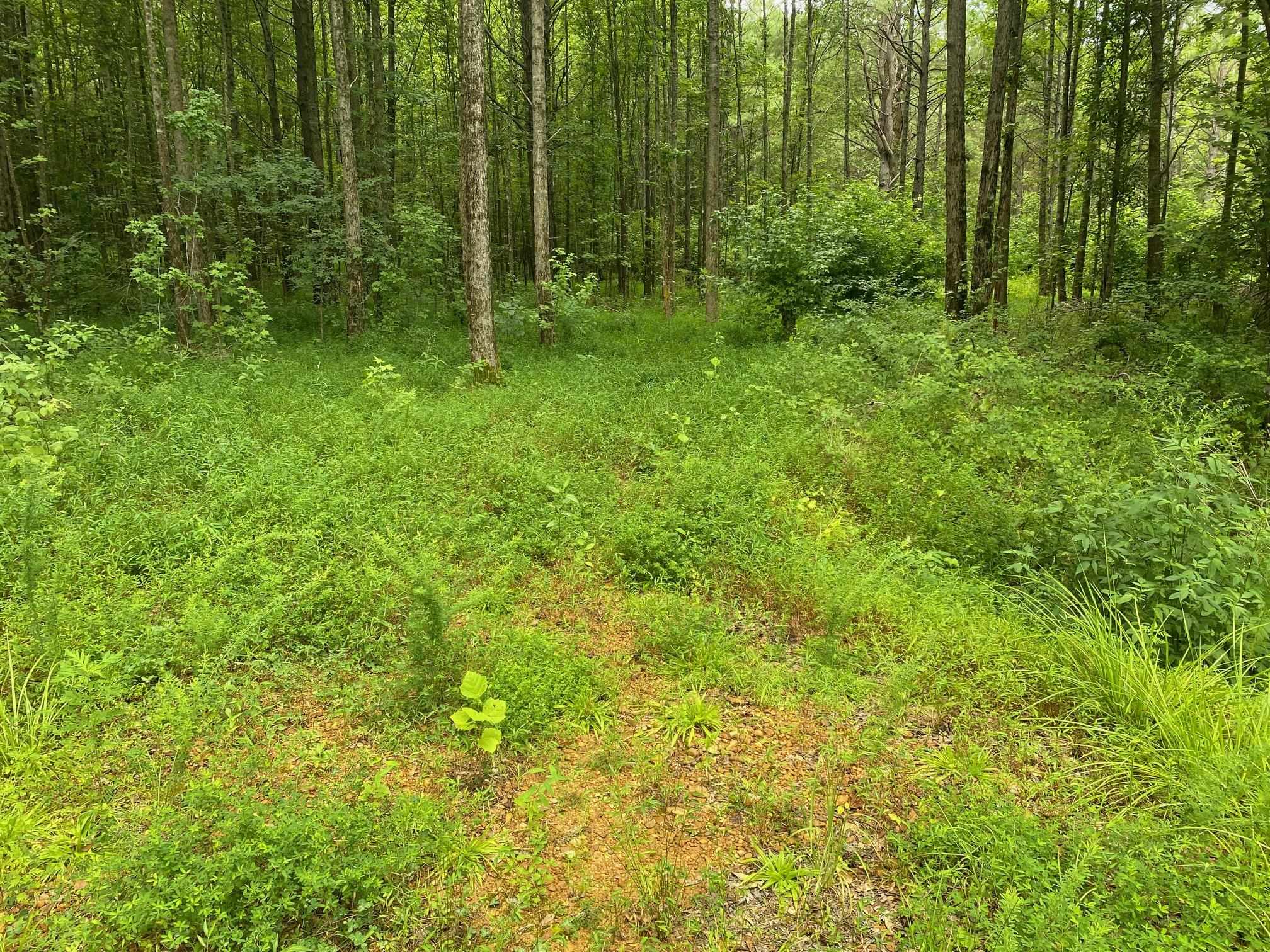 1234 Sandy Flatt Rd Property Photo 16