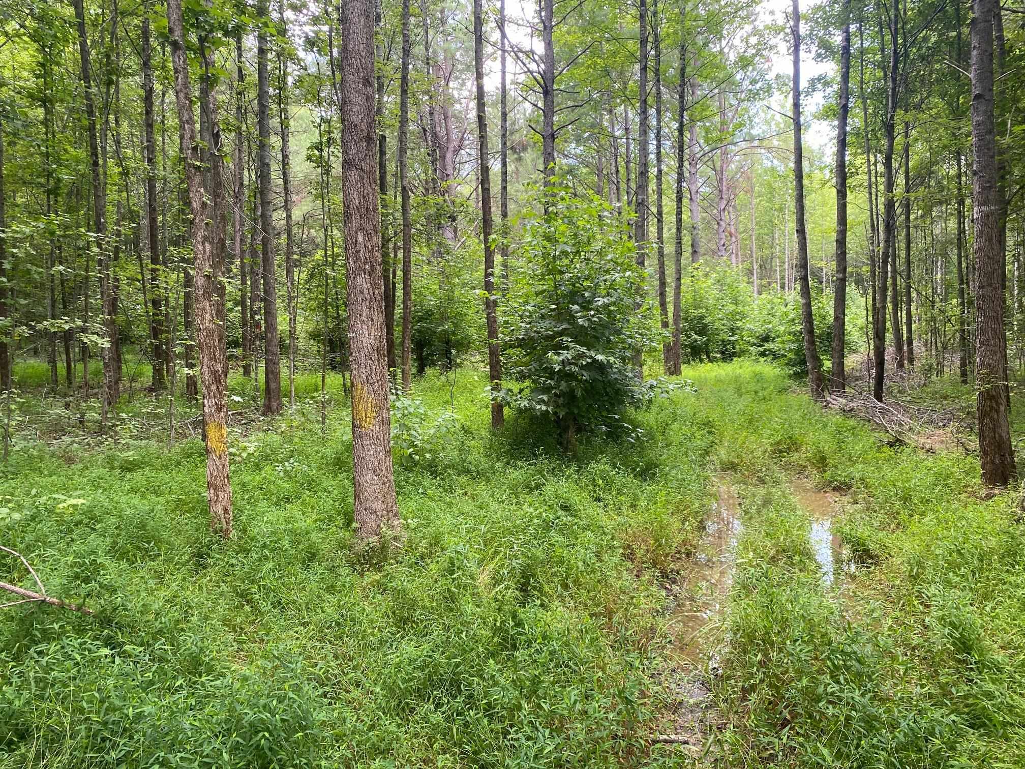 1234 Sandy Flatt Rd Property Photo 17