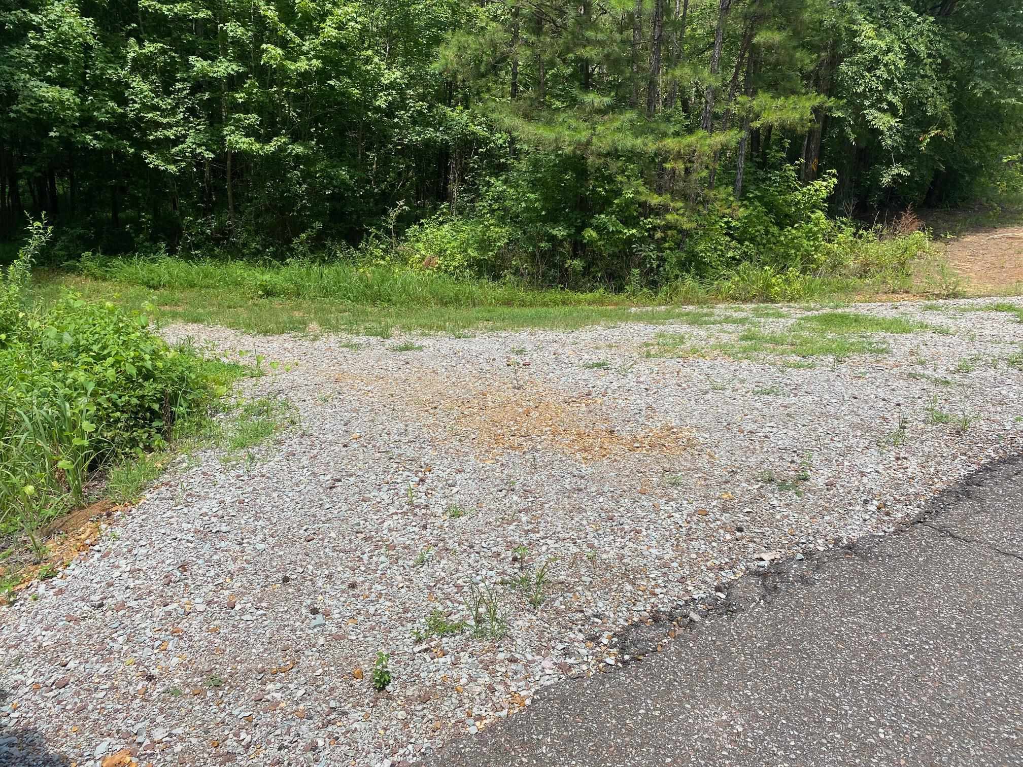 1234 Sandy Flatt Rd Property Photo 25