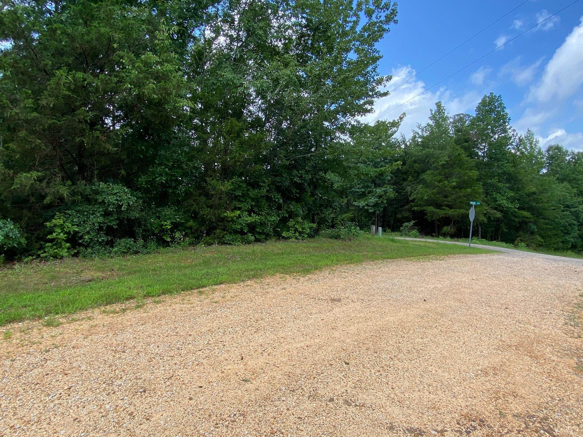 11 Bald Eagle Dr Property Photo 1