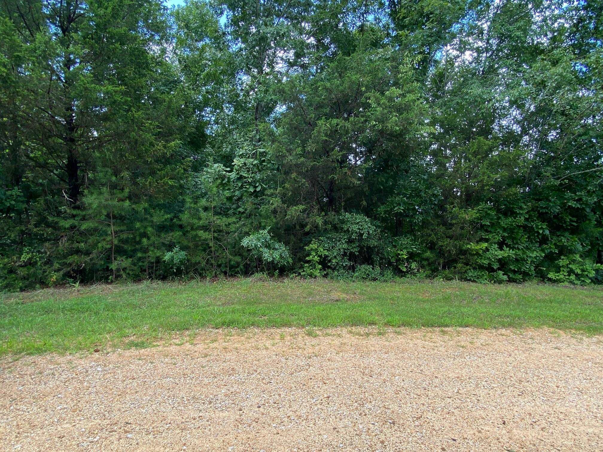 11 Bald Eagle Dr Property Photo 5