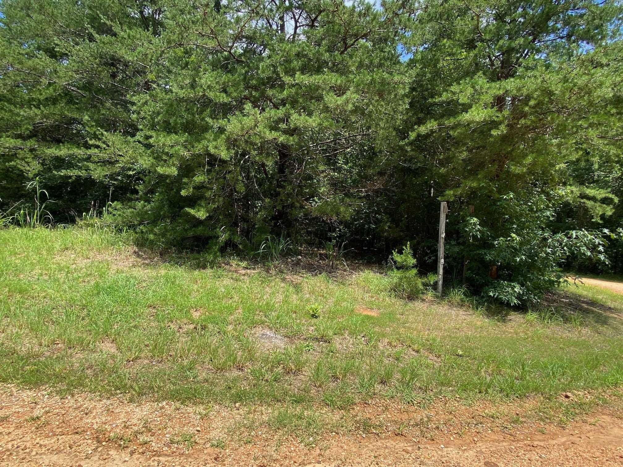 5 Bald Eagle Dr Property Photo 1
