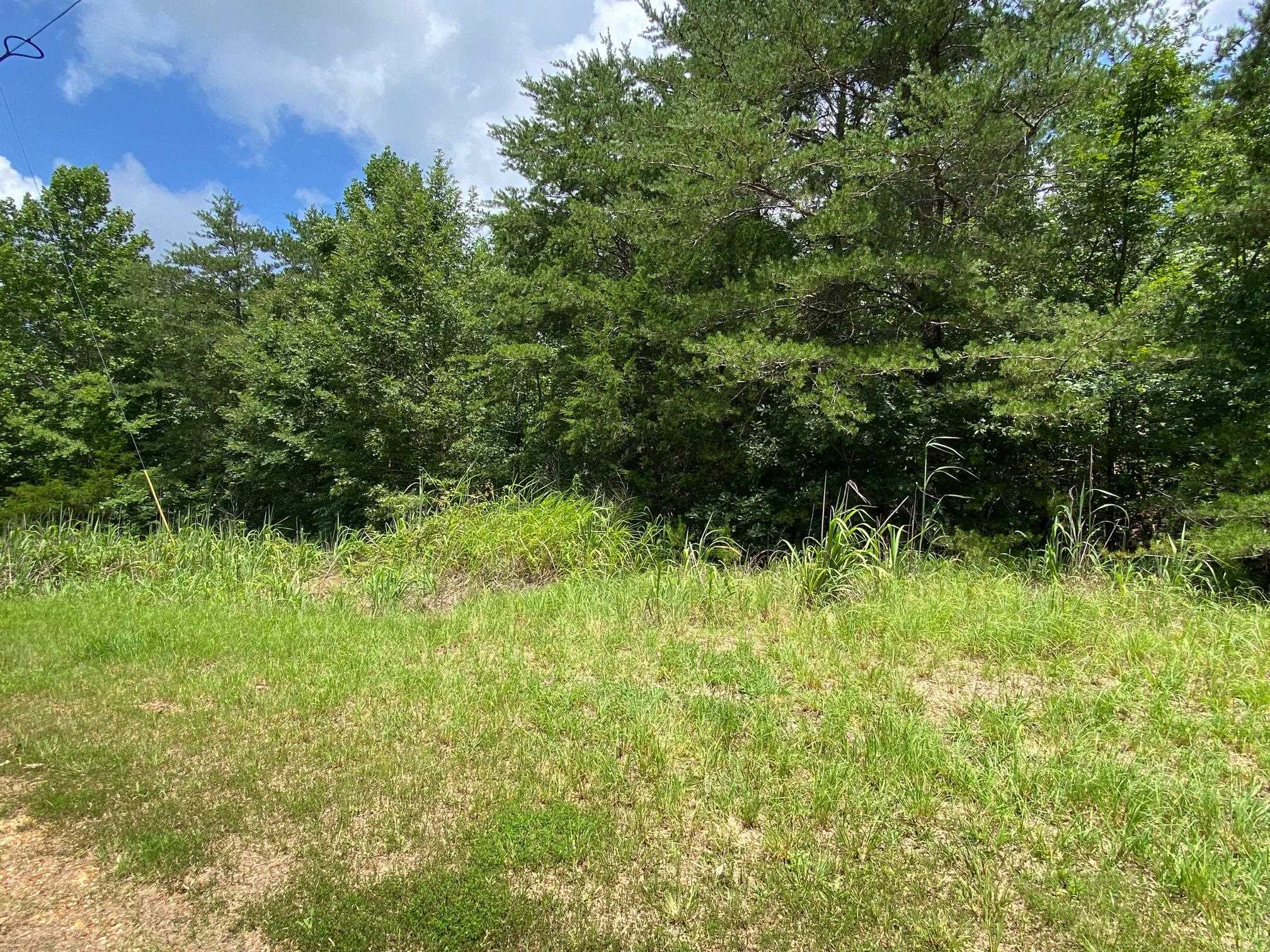 5 Bald Eagle Dr Property Photo 2