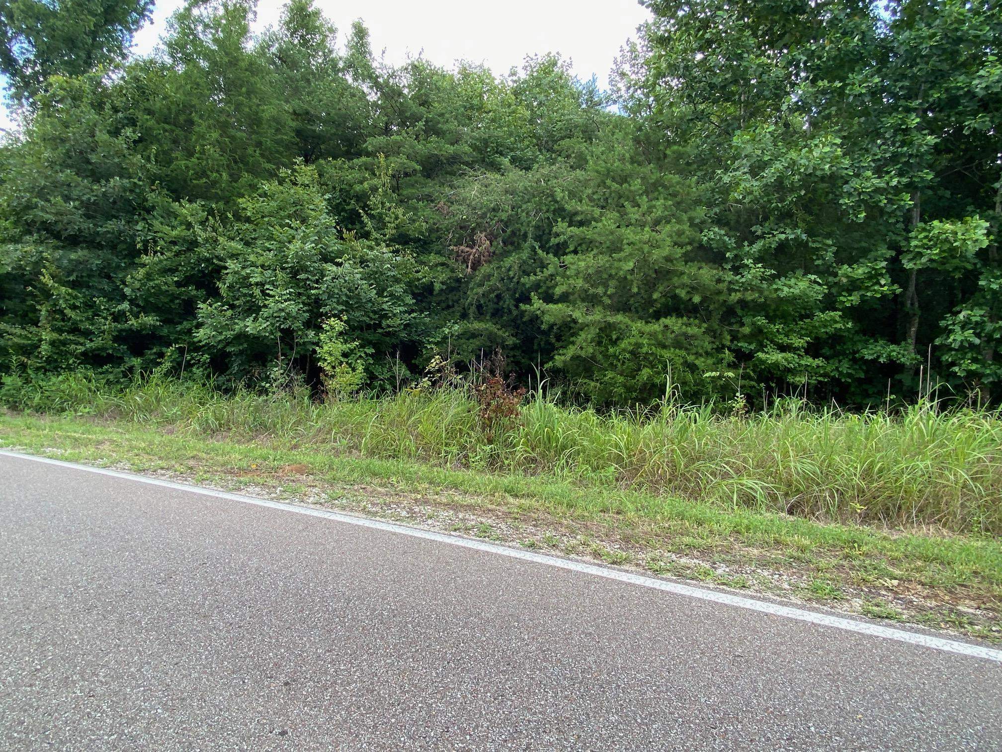 Gendale & Bald Eagle Dr Property Photo 1