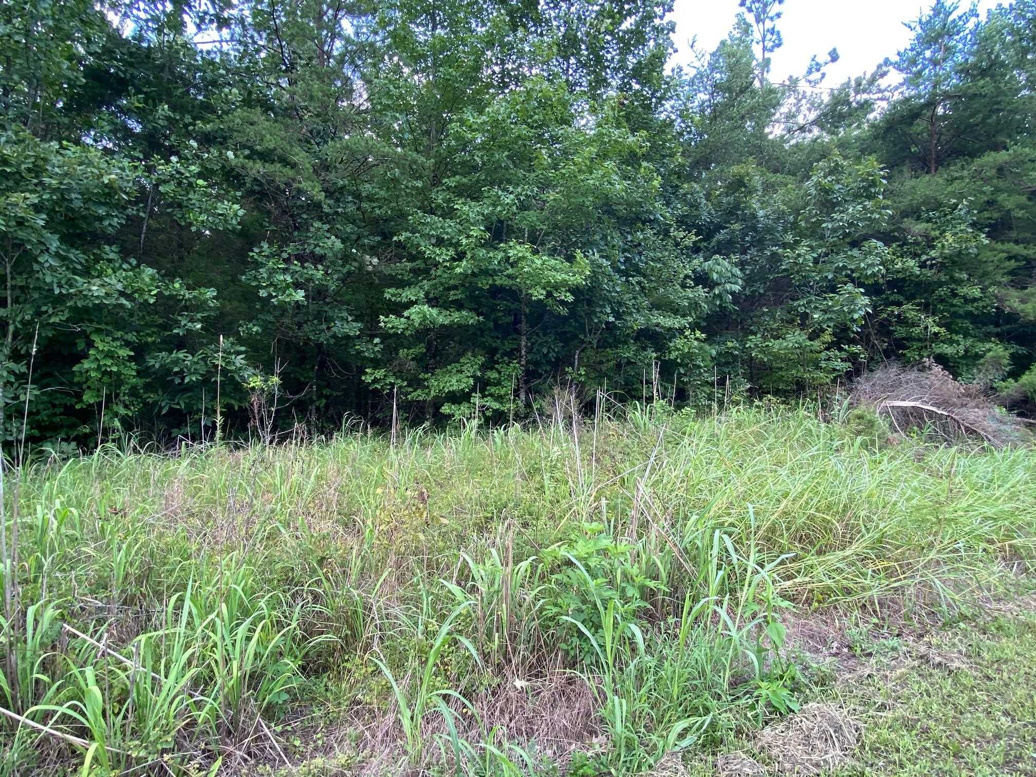 Gendale & Bald Eagle Dr Property Photo 3