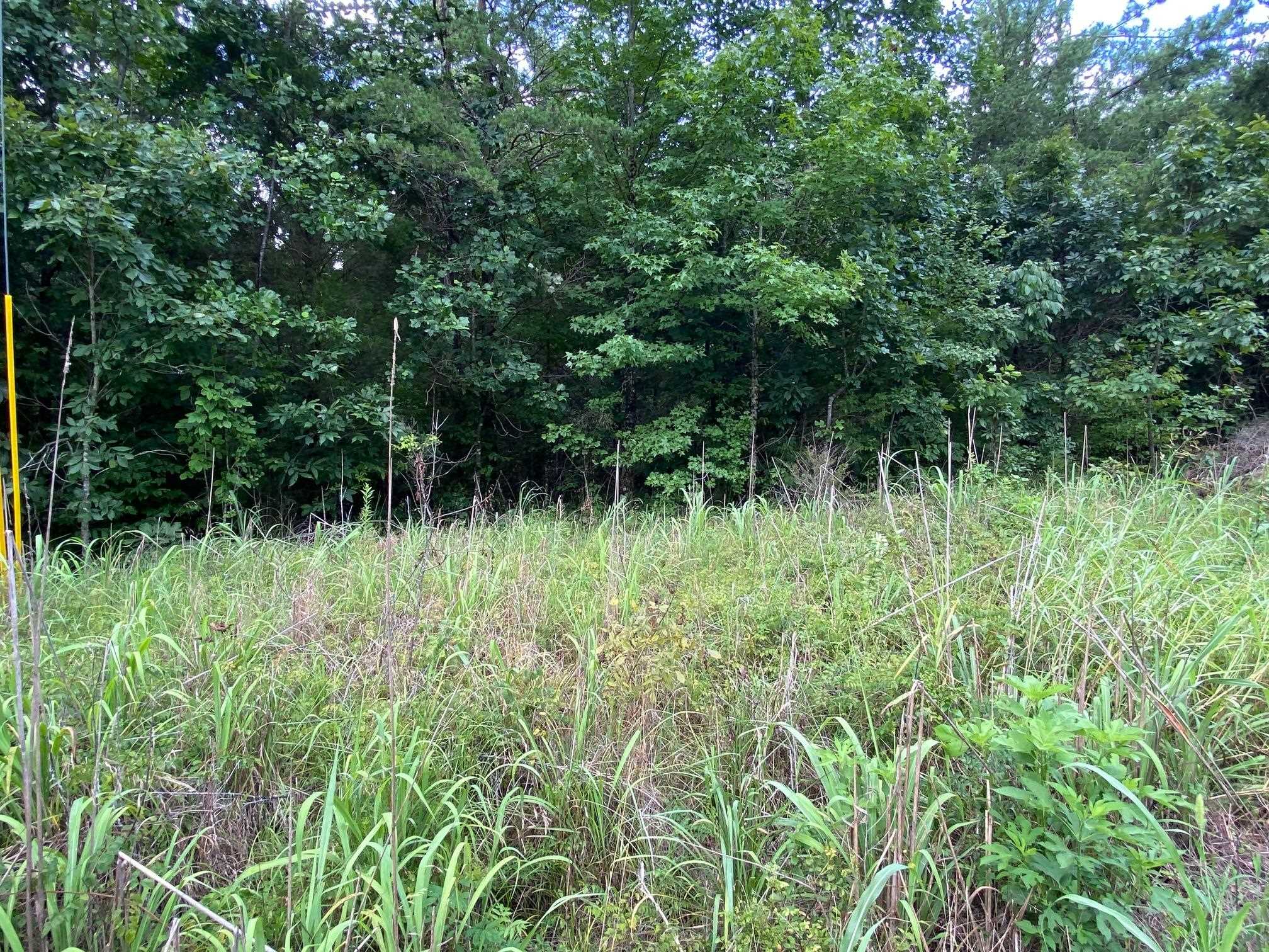 Gendale & Bald Eagle Dr Property Photo 4