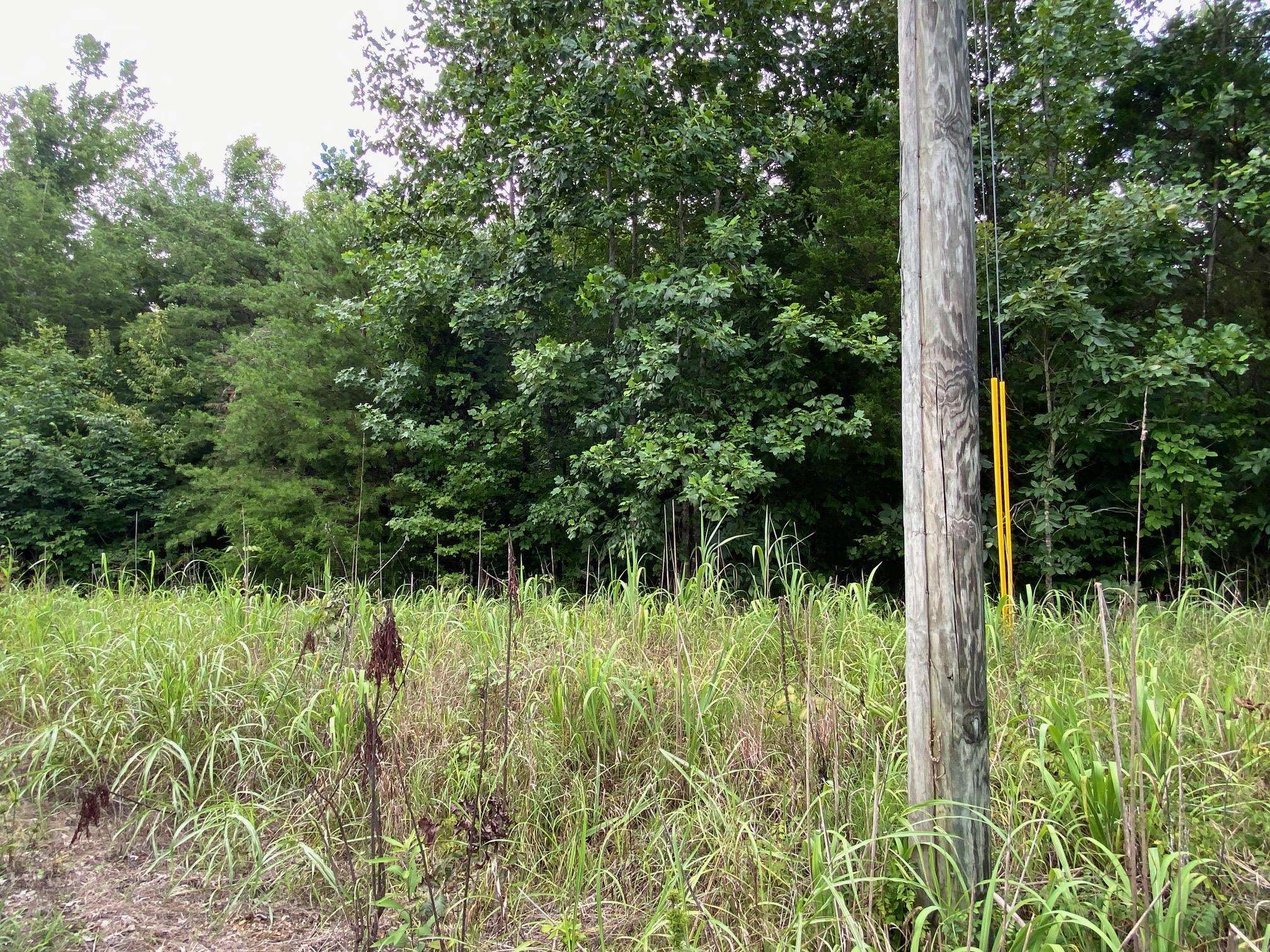 Gendale & Bald Eagle Dr Property Photo 5