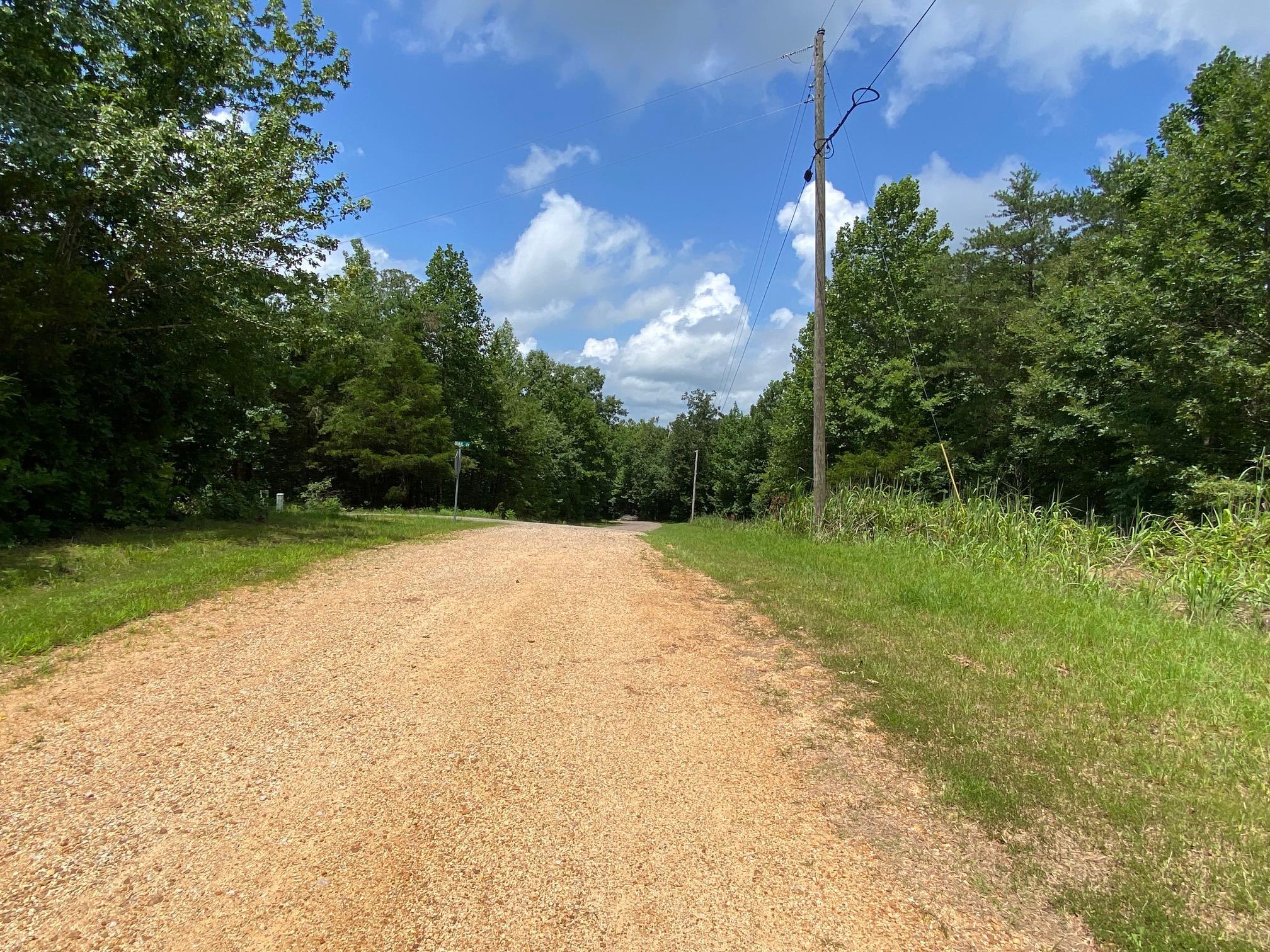 Gendale & Bald Eagle Dr Property Photo 10