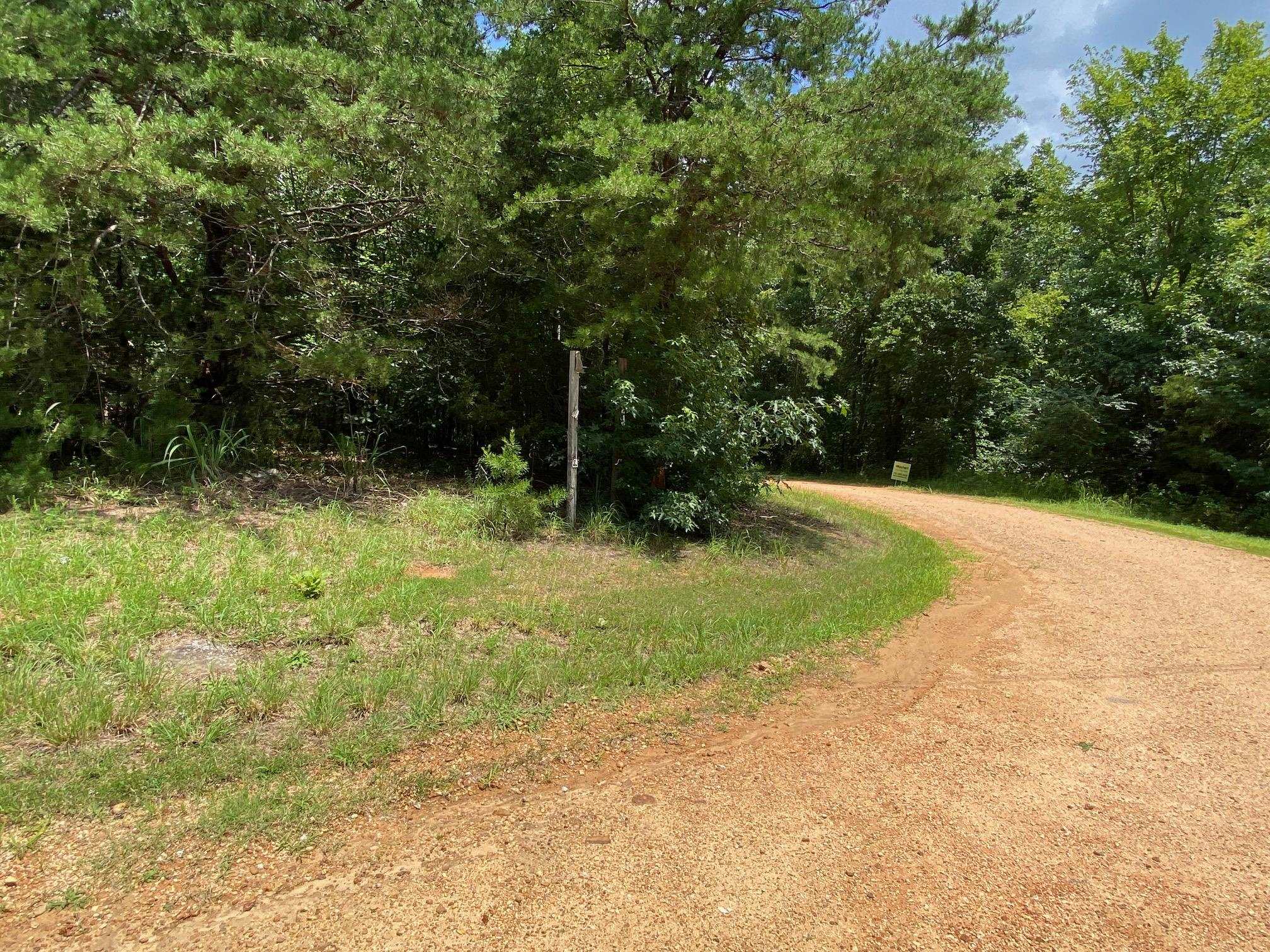 Gendale & Bald Eagle Dr Property Photo 11